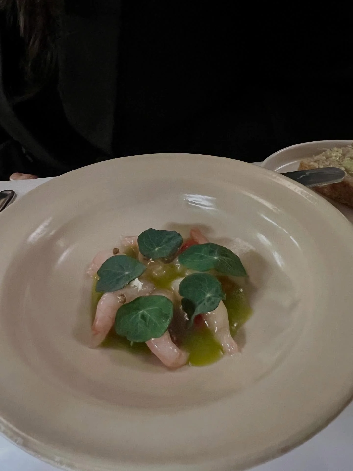 Restaurant Harlo and Meyer served some really good dishes for me and a colleague working with wine and food last week. 

I started with a very elegant and tasty dish with squid, green chili, cabbage and roses.
Maria @oinofilia had Norwegian shrimps, 