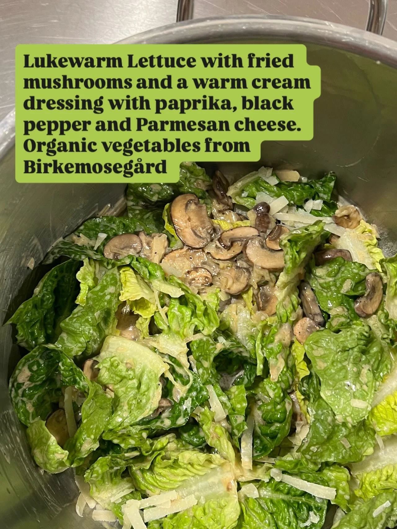 Lukewarm Lettuce with fried mushrooms and a warm cream dressing with paprika, black pepper and Parmesan cheese. 

Organic vegetables from Birkemoseg&aring;rd @birkemosegaard 
&nbsp;
#Torsdagskassen
#&oslash;kologisk
#salat
#vintermad