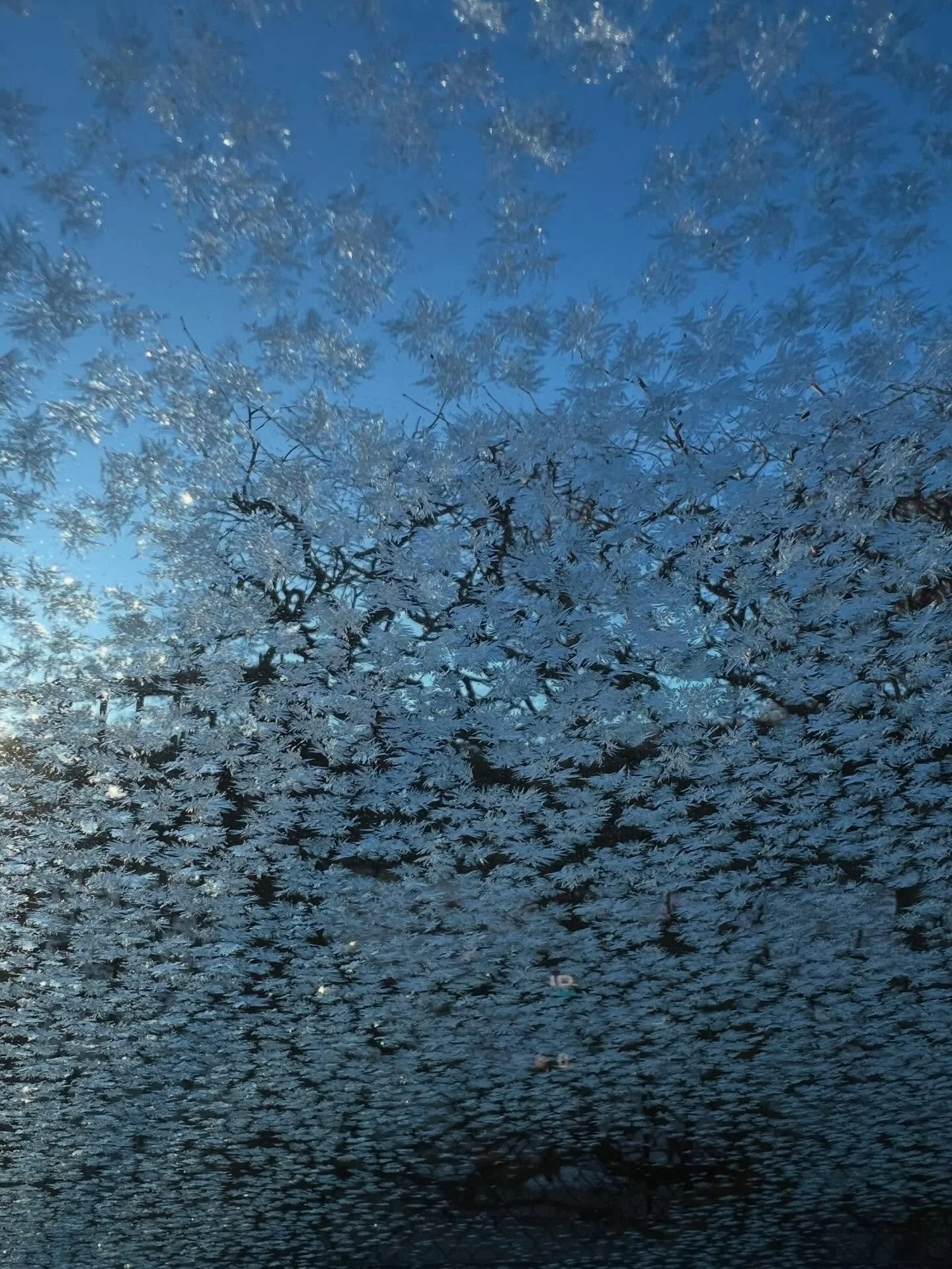 Cold 🥶 days in #copenaghen #k&oslash;benhavn #beauty #snow