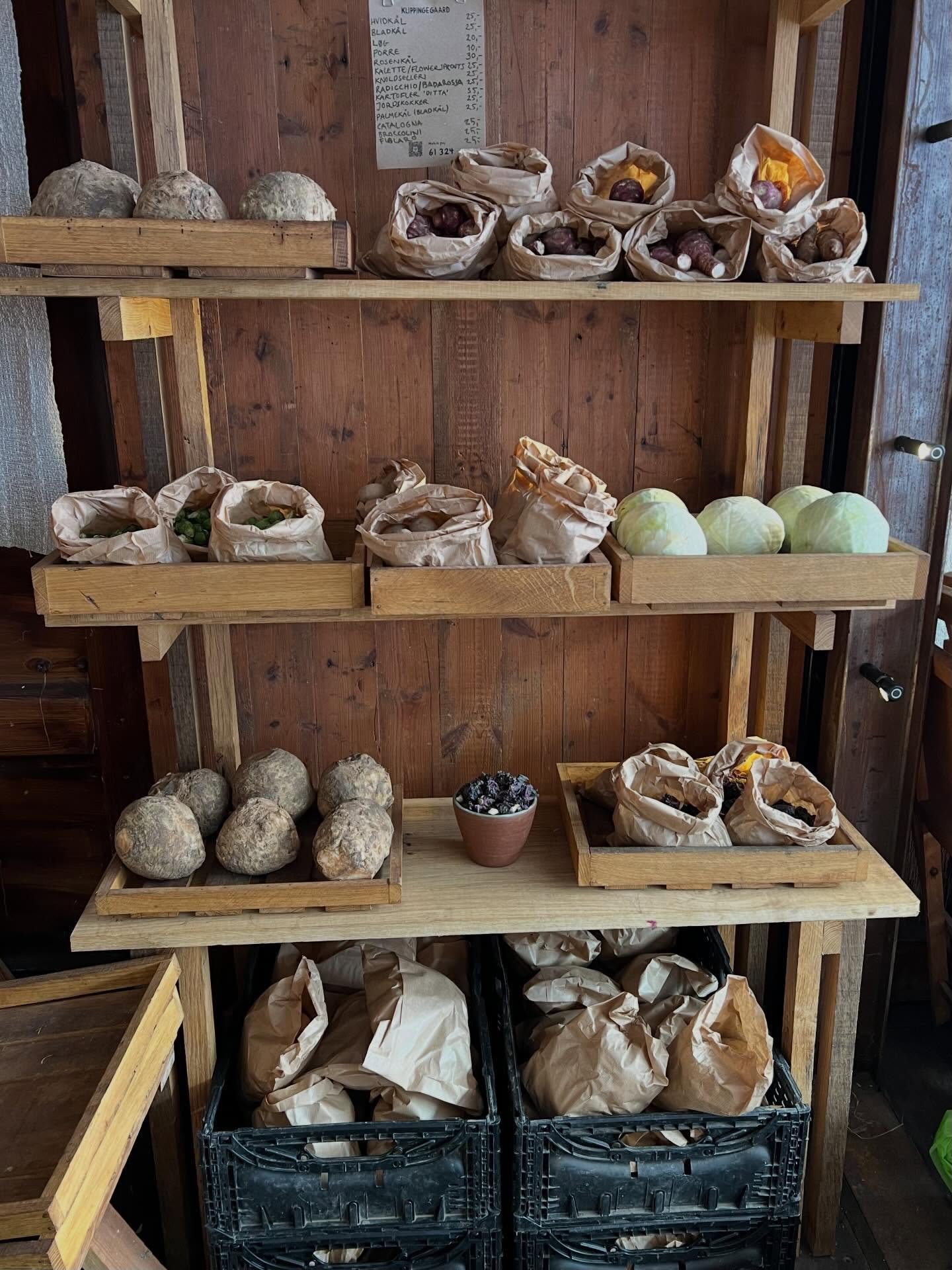 Gr&oslash;nne b&oslash;nner er et gr&oslash;nt torv for sm&aring; lokale regenerative landbrug. 
Her i vintertiden er der &aring;bent fredag 10-18 og l&oslash;rdag 10-16.
&nbsp;
Sloganet lyder: Spis hvad der gror, hvor du bor!
&nbsp;
Spis i s&aelig;s