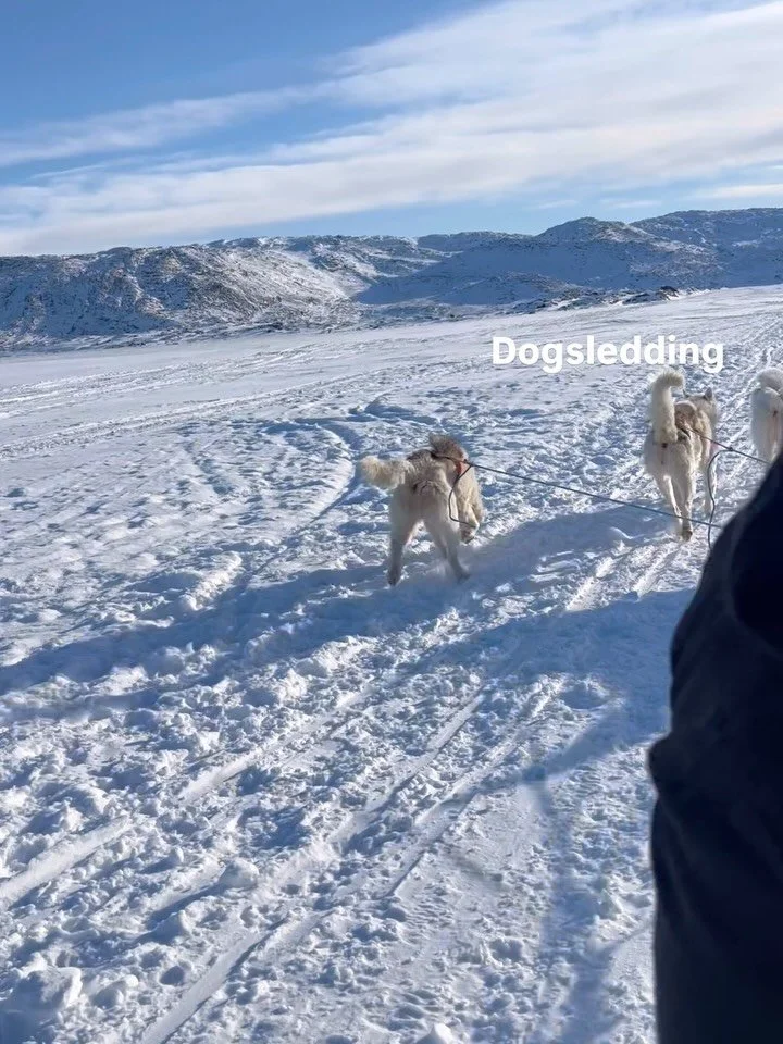 🇬🇱 Postcard from Ilulissat
&nbsp;
Four days in one of Greenland&rsquo;s most beloved destination &mdash; and it&rsquo;s easy to understand why.
&nbsp;
🧊 Icebergs older than civilization drifting silently past our boat as we sailed the Ilulissat Ic