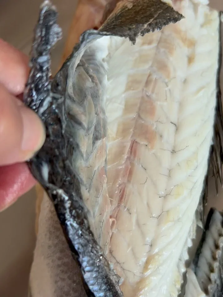 Et enkelt tip til god hjemmelavet mad: 
Det er nemt n&aring;r man har en frisk fisk &ndash; det her er havbars.
&nbsp;
Rens fisken, ved at sk&aelig;re bugen op fra gat til g&aelig;ller og fjern indvolde. 
&nbsp;
Fjern ikke finnerne.
&nbsp;
L&aelig;g 