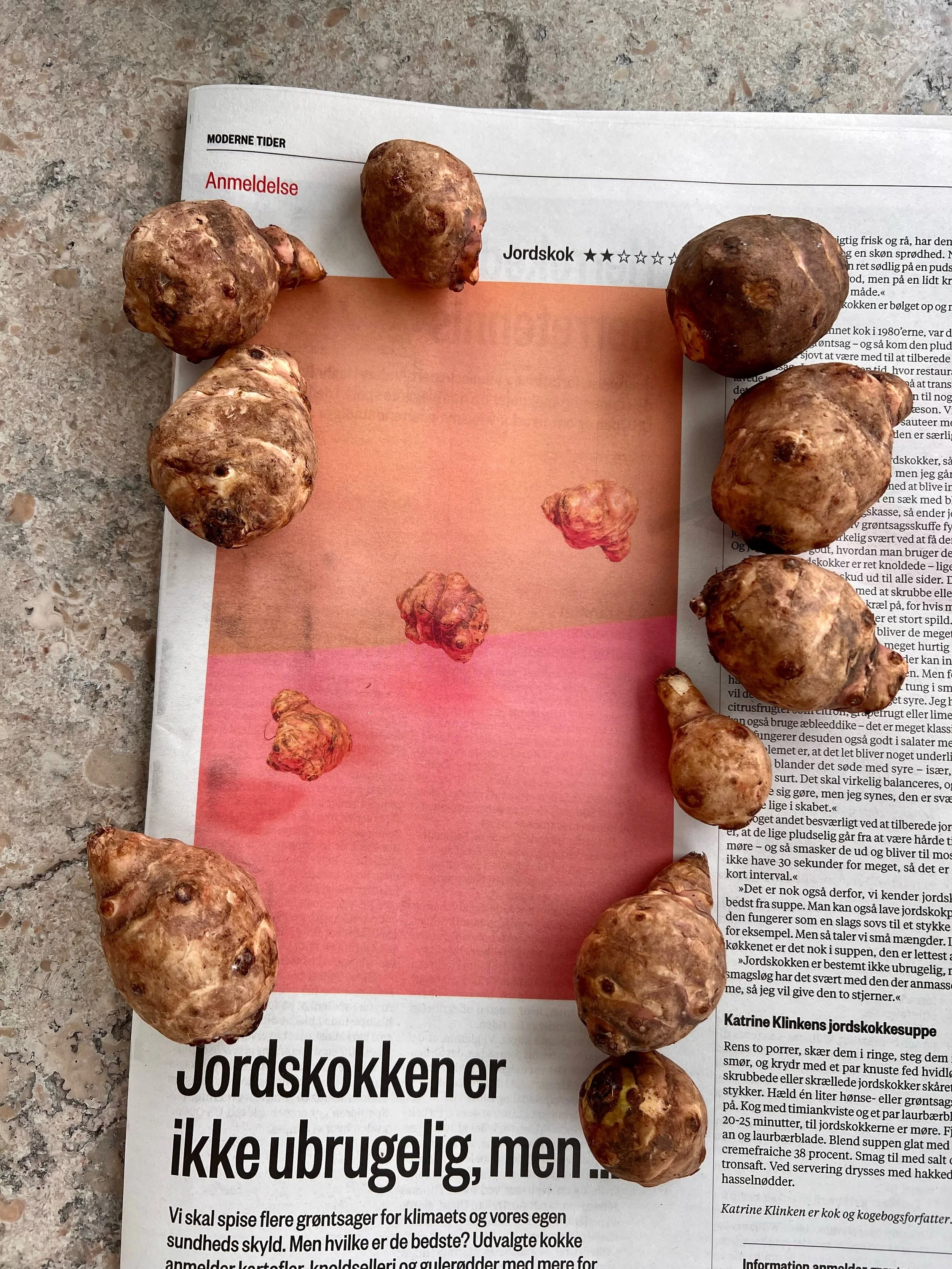 I denne uges Information fort&aelig;ller jeg om : Jordskokken. Endnu en del af serien &ldquo;Information anmelder gr&oslash;ntsager&rdquo;.
&nbsp;
Jeg er ikke k&aelig;mpe fan af jordskokken - men i passende doser er den ok. Og bedst i supper, til sov