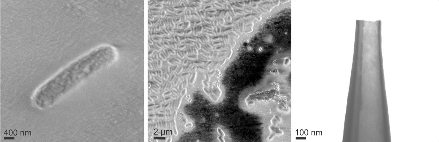 FuNII Lab research