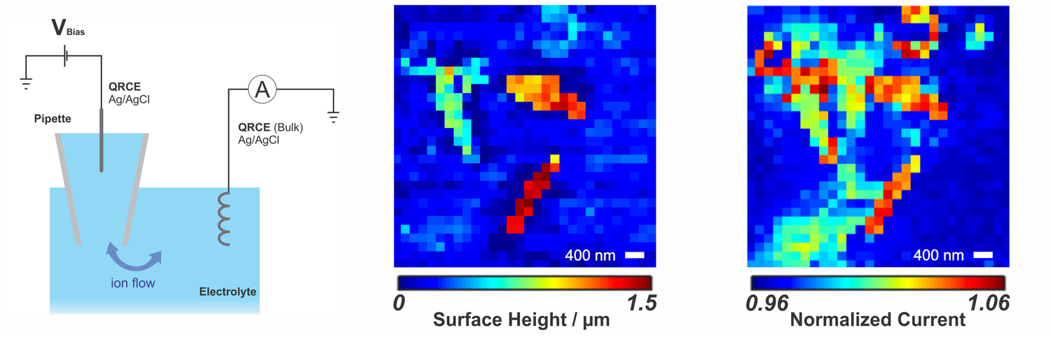 Featured research from FuNII Lab