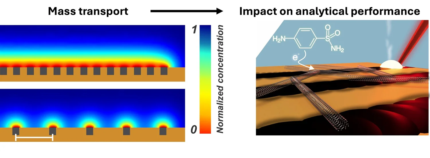 Mass transport research