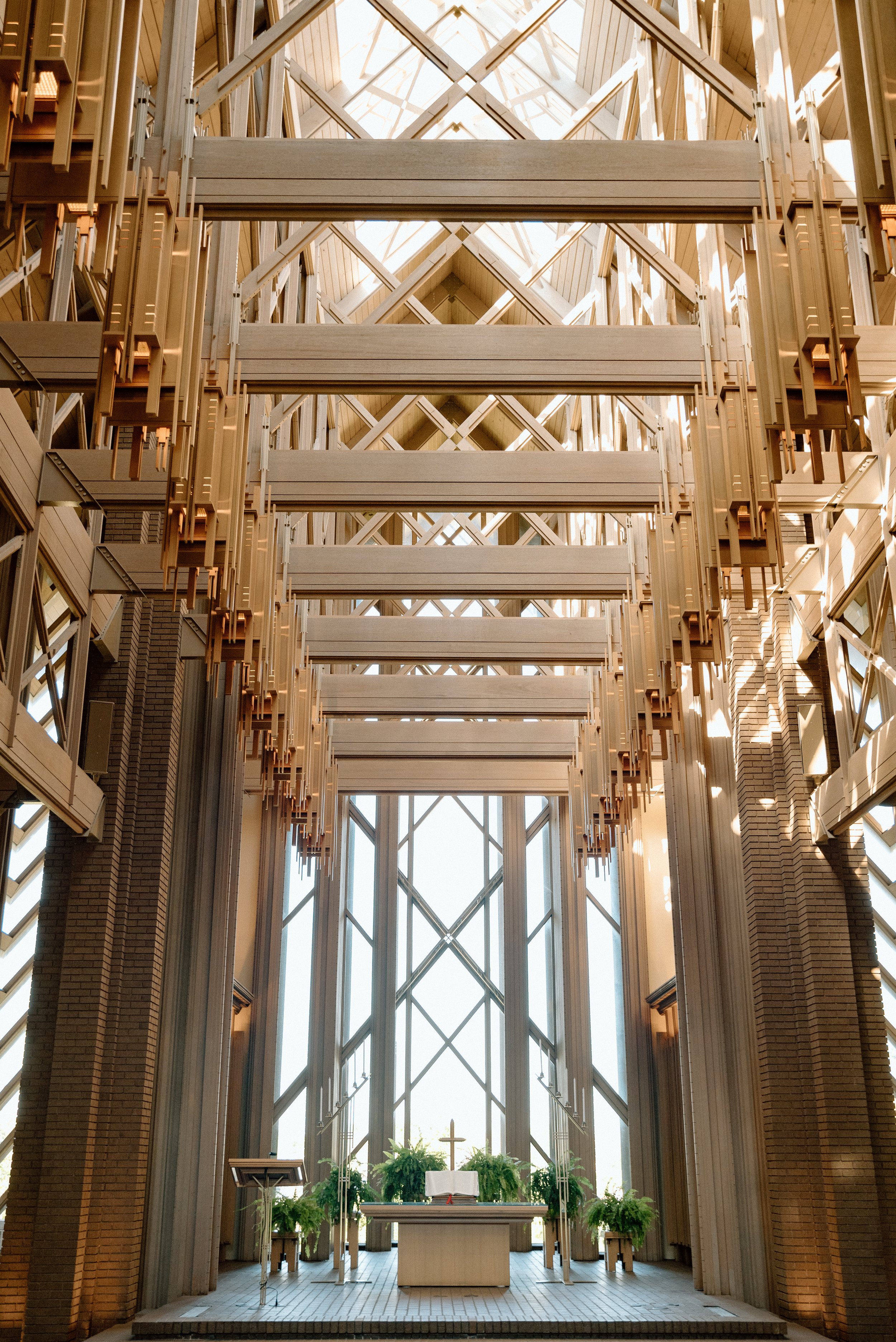 Kayla Kristine Photography_Zoo Wedding-6.jpg