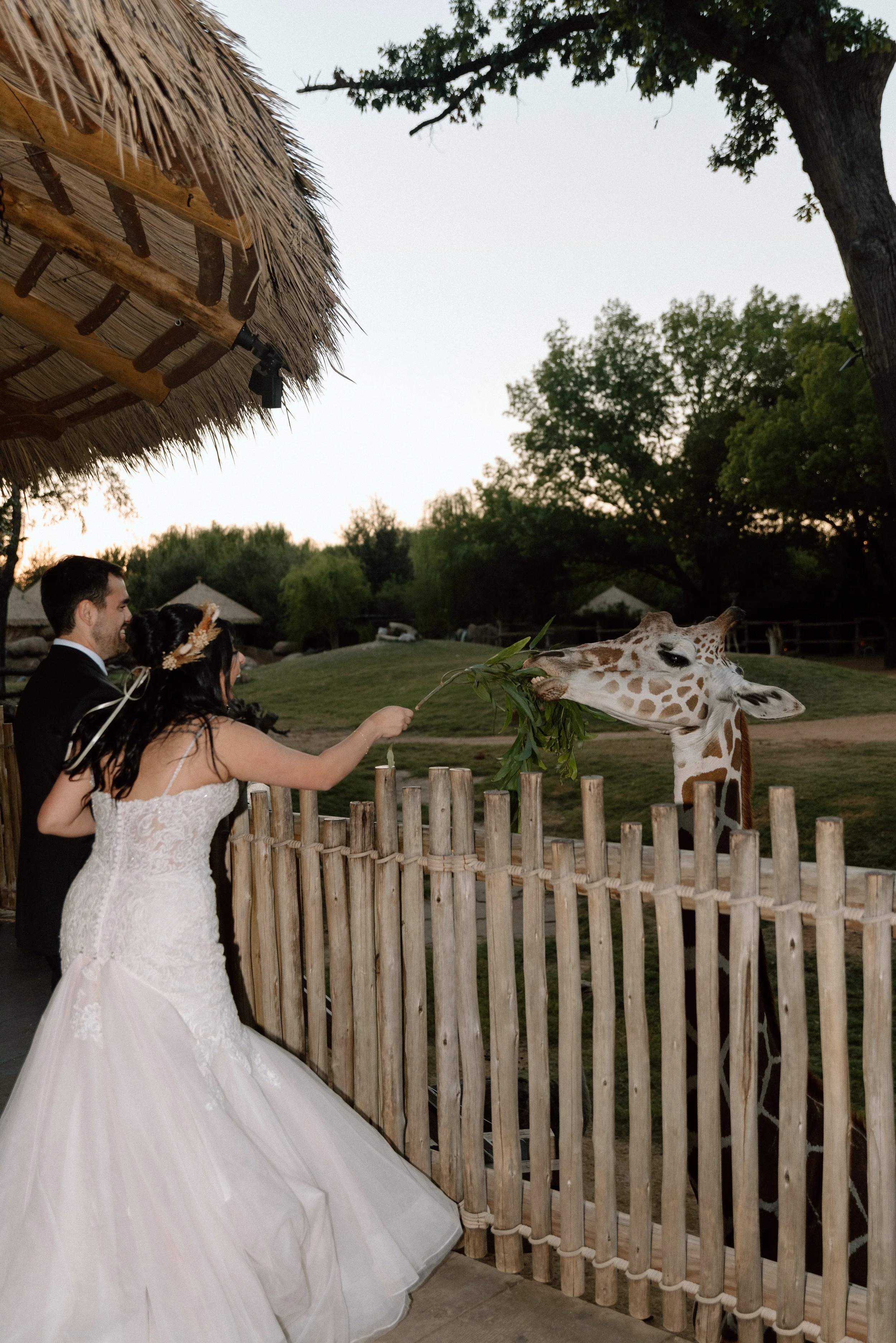 Kayla Kristine Photography_Zoo Wedding-38.jpg