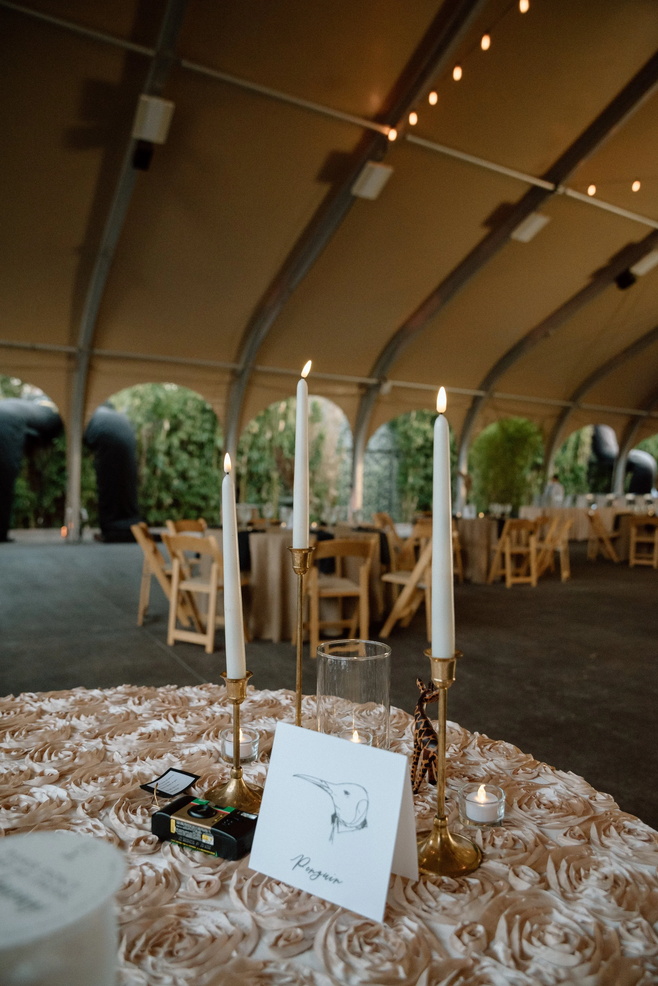 Kayla Kristine Photography_Zoo Wedding-35.jpg