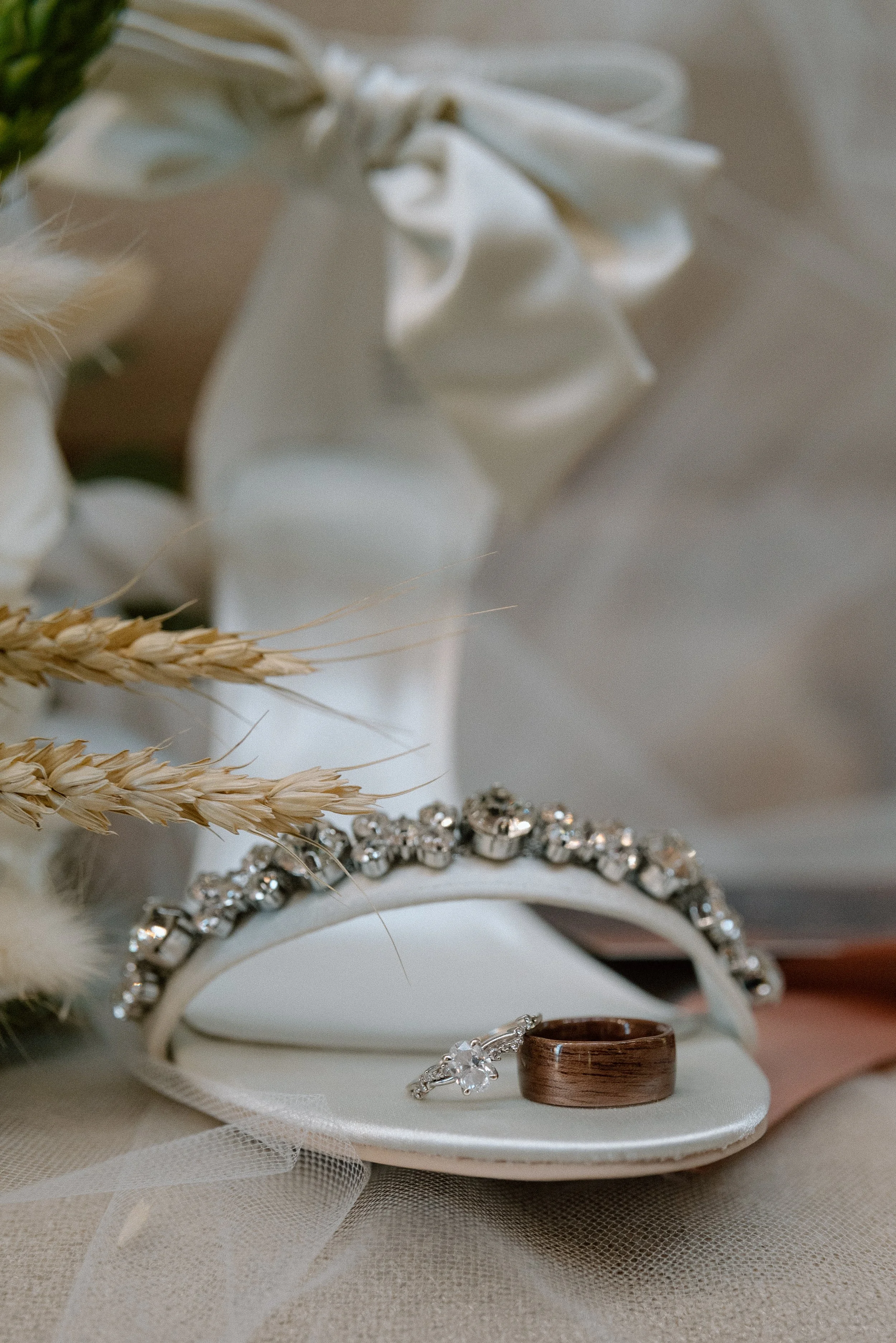 Kayla Kristine Photography_Zoo Wedding-2.jpg