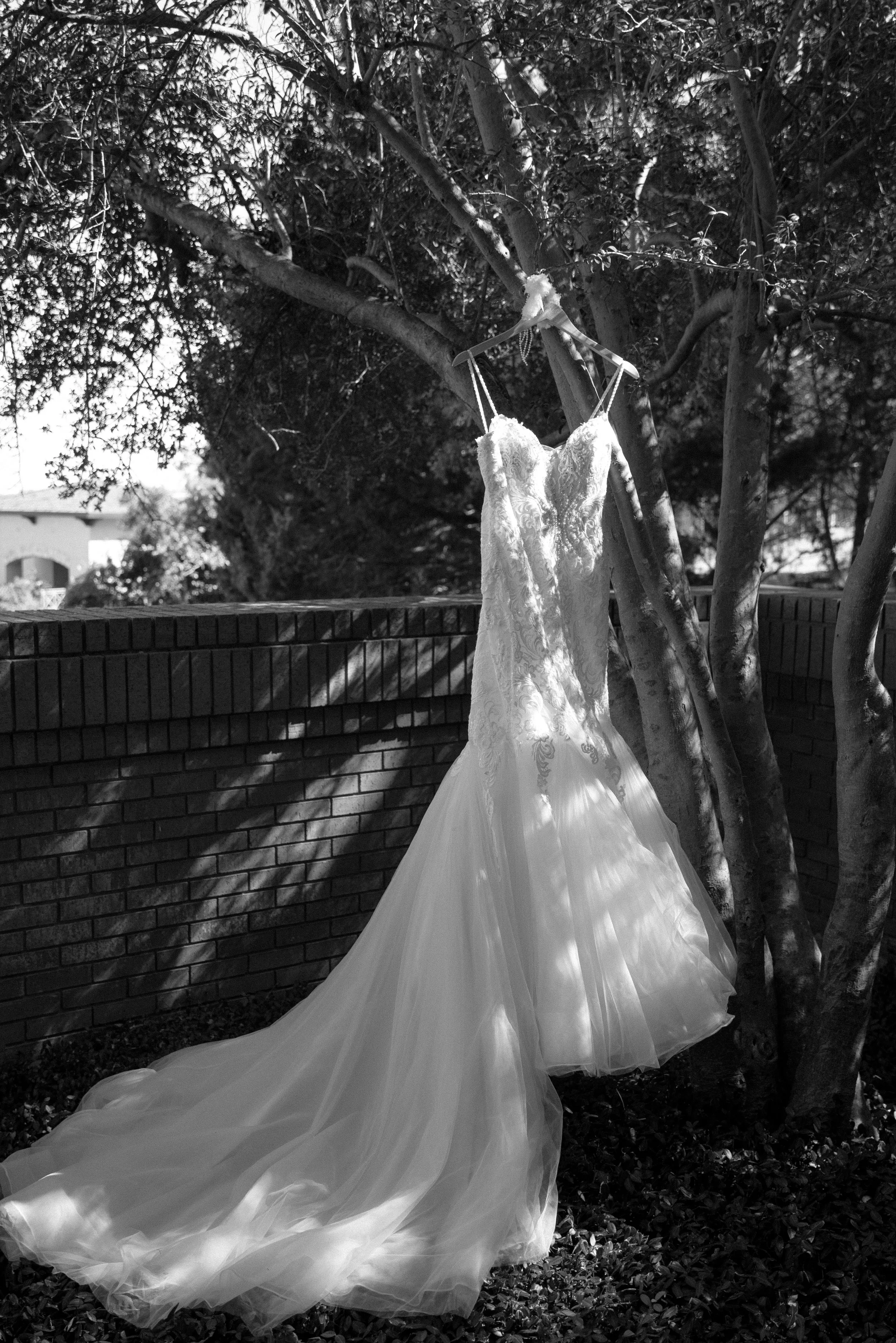 Kayla Kristine Photography_Zoo Wedding-4.jpg