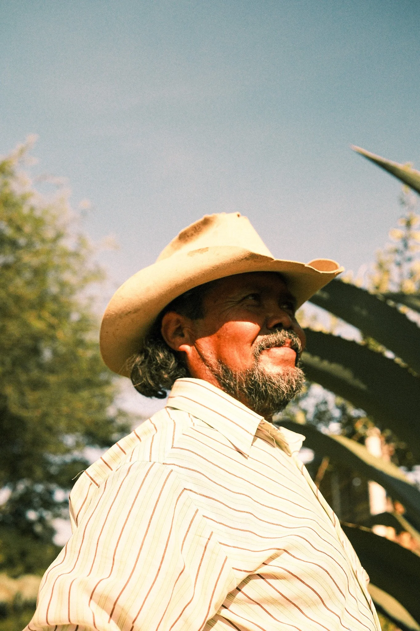 Oaxaca, Mezcal, Banhez