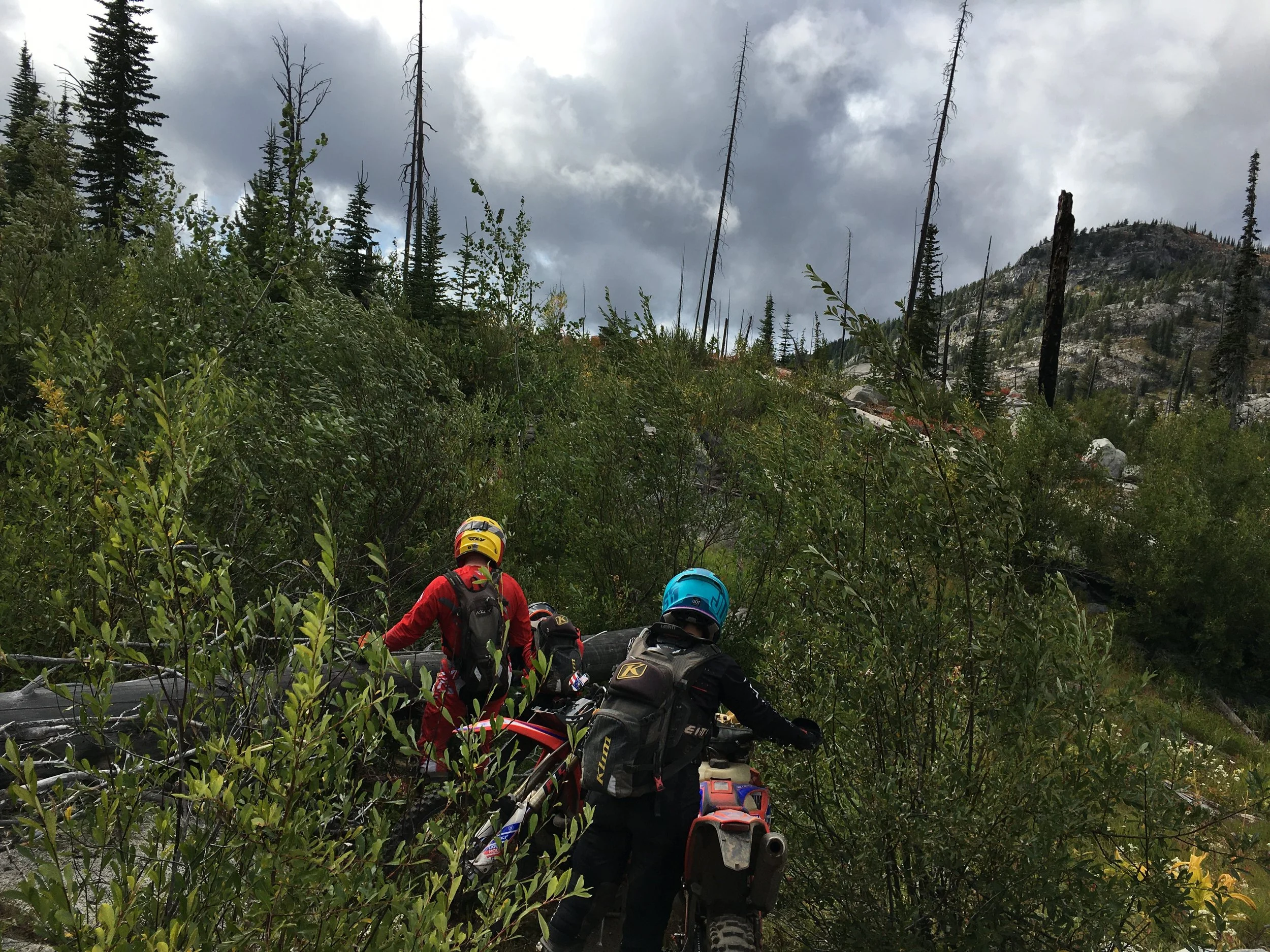 Idaho 2020 Crestline wading thru bushes during a windstorm.JPG