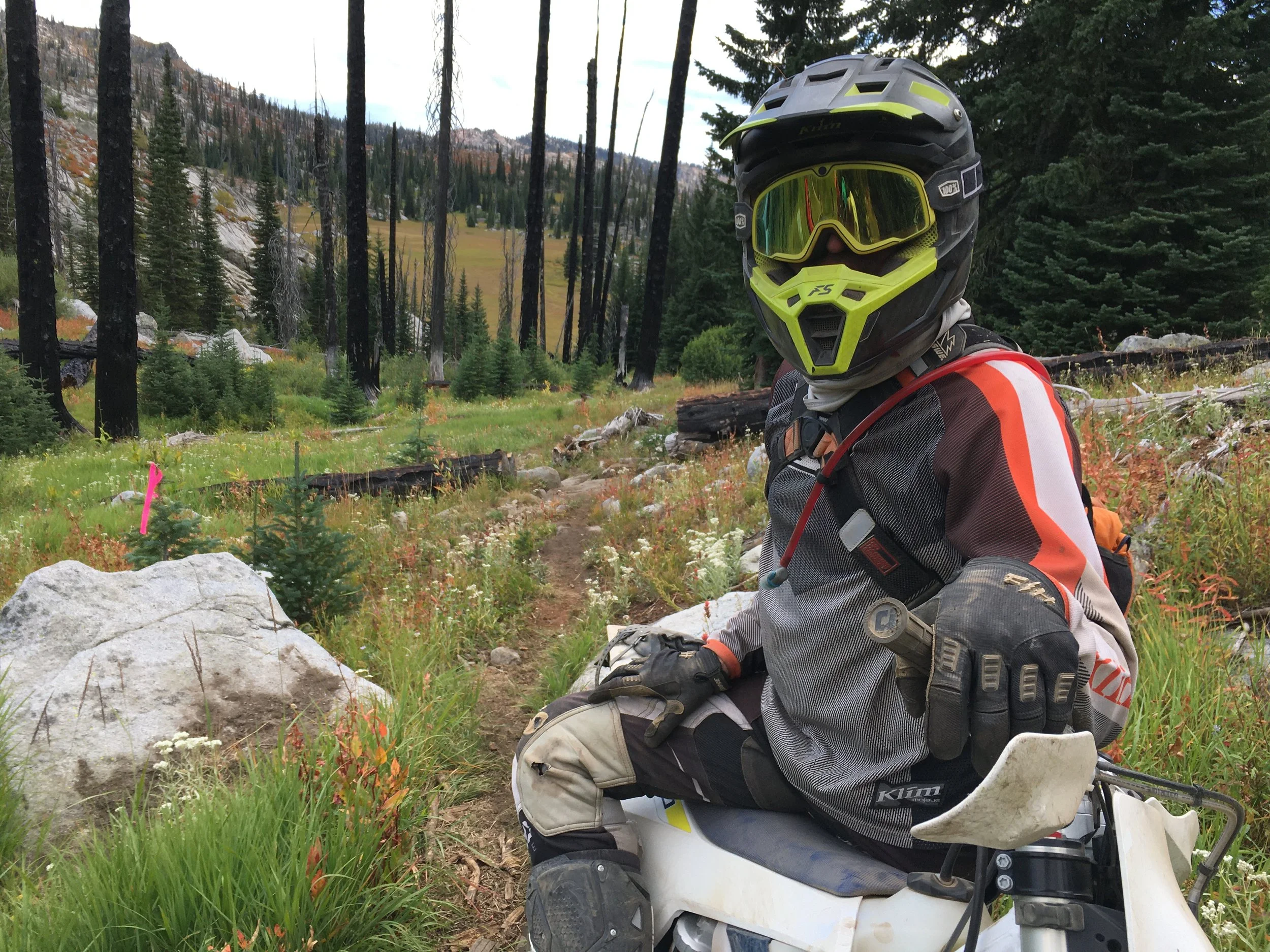 Idaho 2020 Mike looking scared as trees start falling.JPG