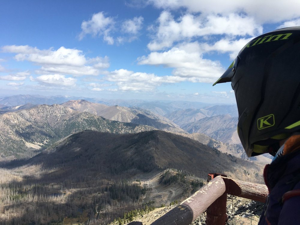 Idaho 2020 Fern taking in the view.JPG