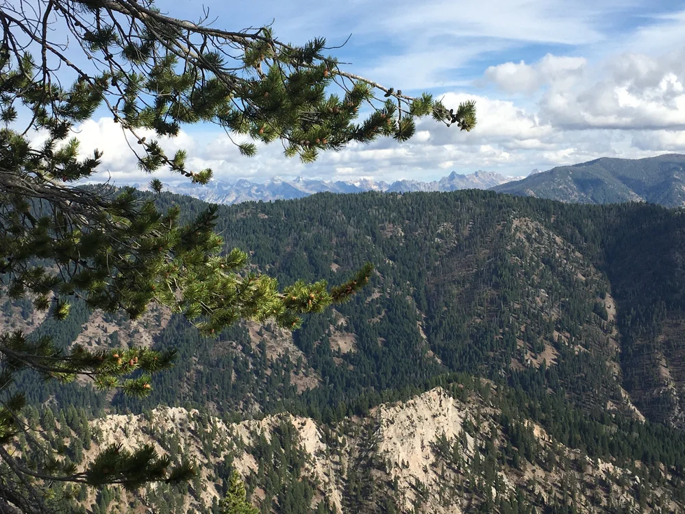 Idaho 2020 view of Sawtooths from Link Trail.JPG