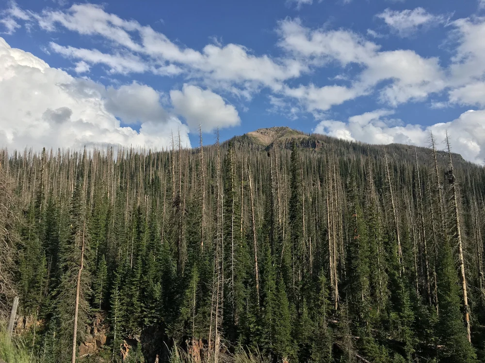 Ute Cup 2021 View of a mountain from camp.JPG