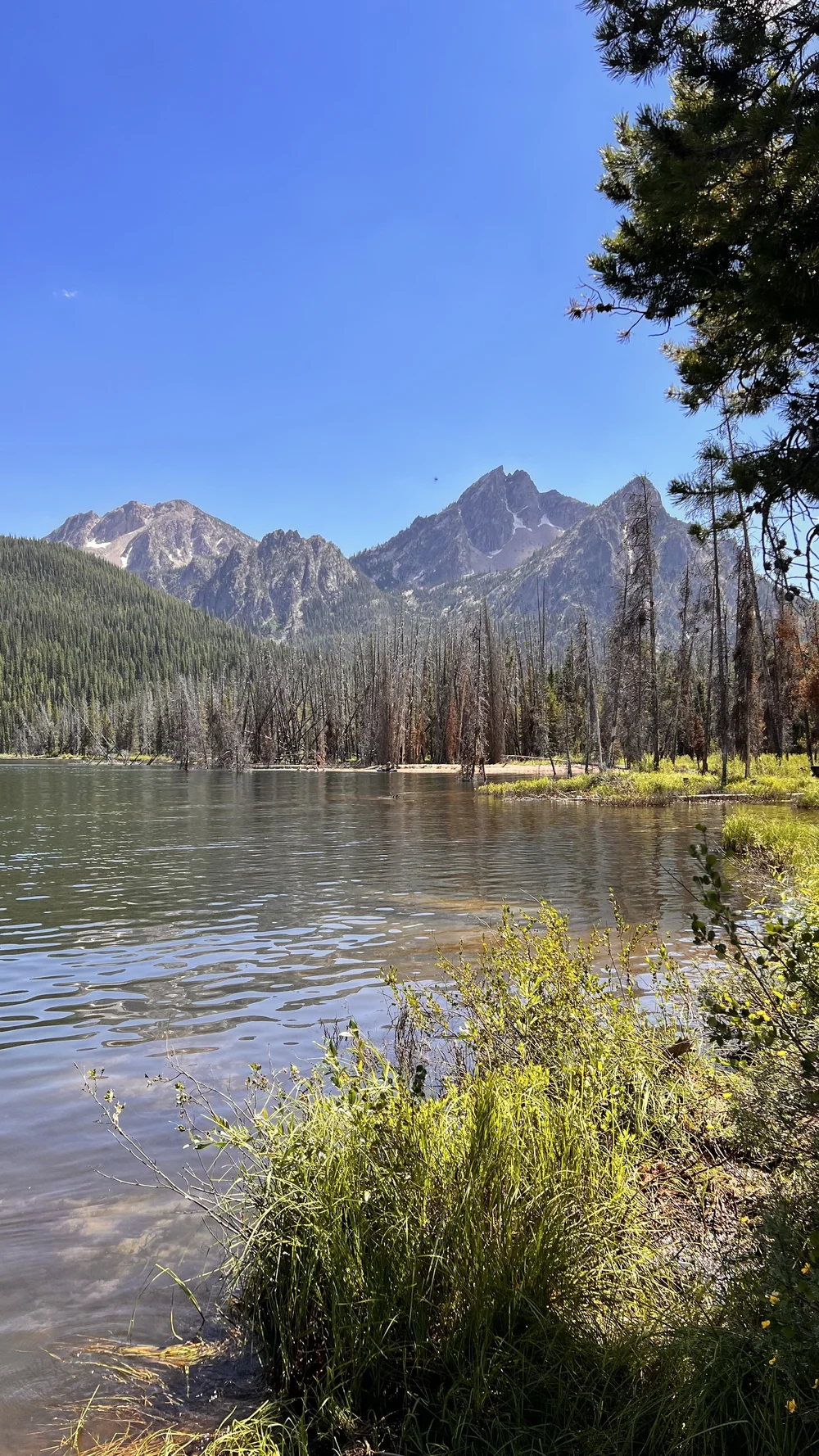 View from Stanley Lake ISR.jpeg