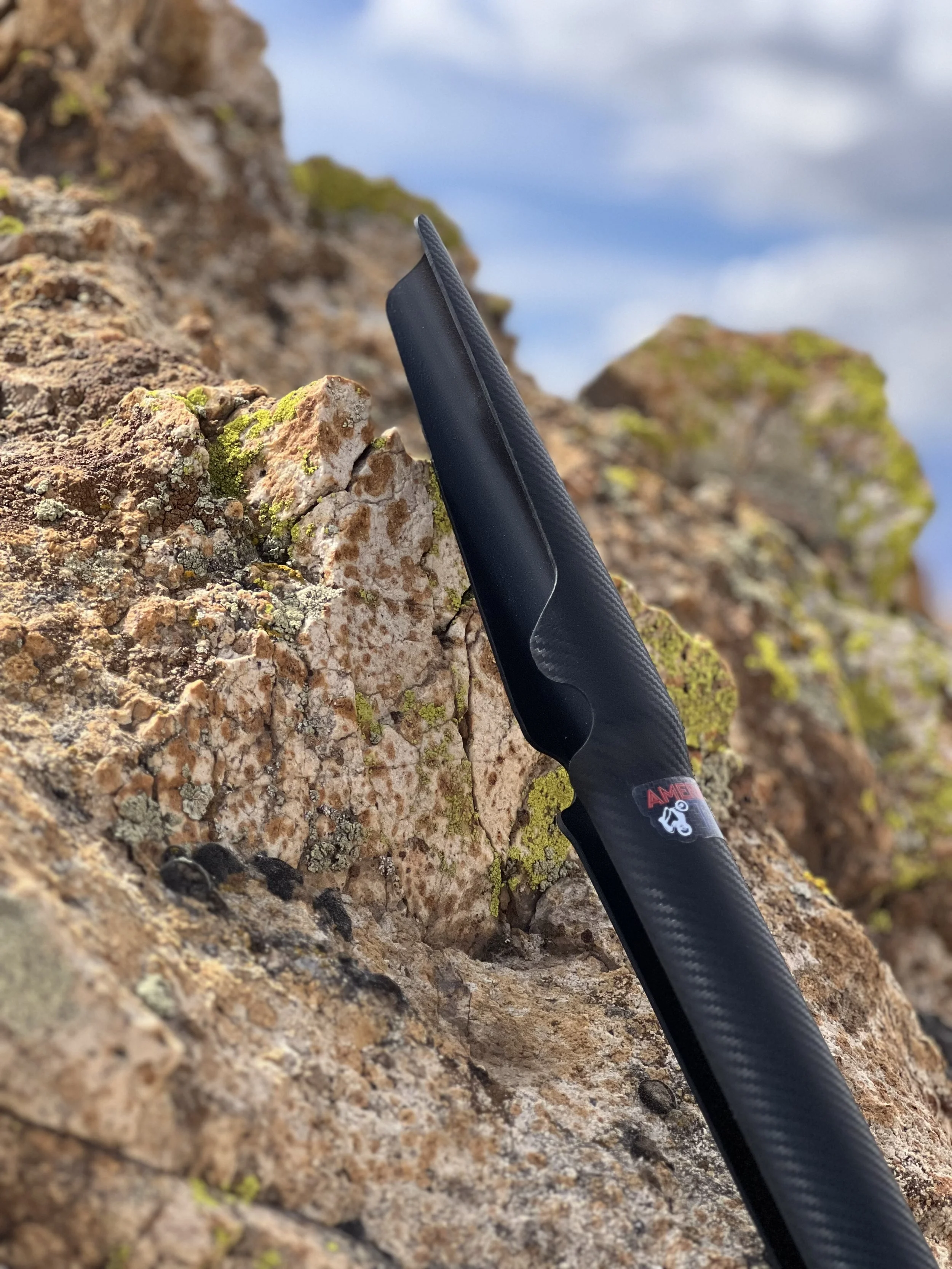 Trials fork protection profile