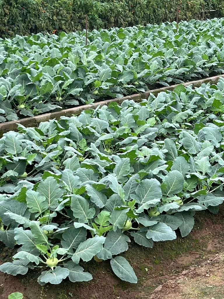 WhatsApp Image 2026-02-28 at 7.17.15 AM.jpeg