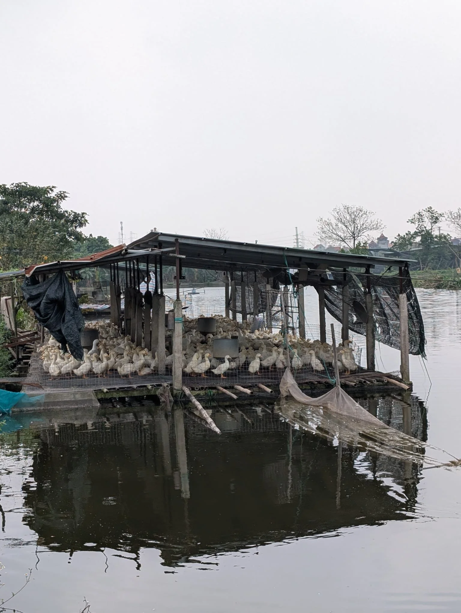 Day 1 - SDARL Alumni In Vietnam and Cambodia