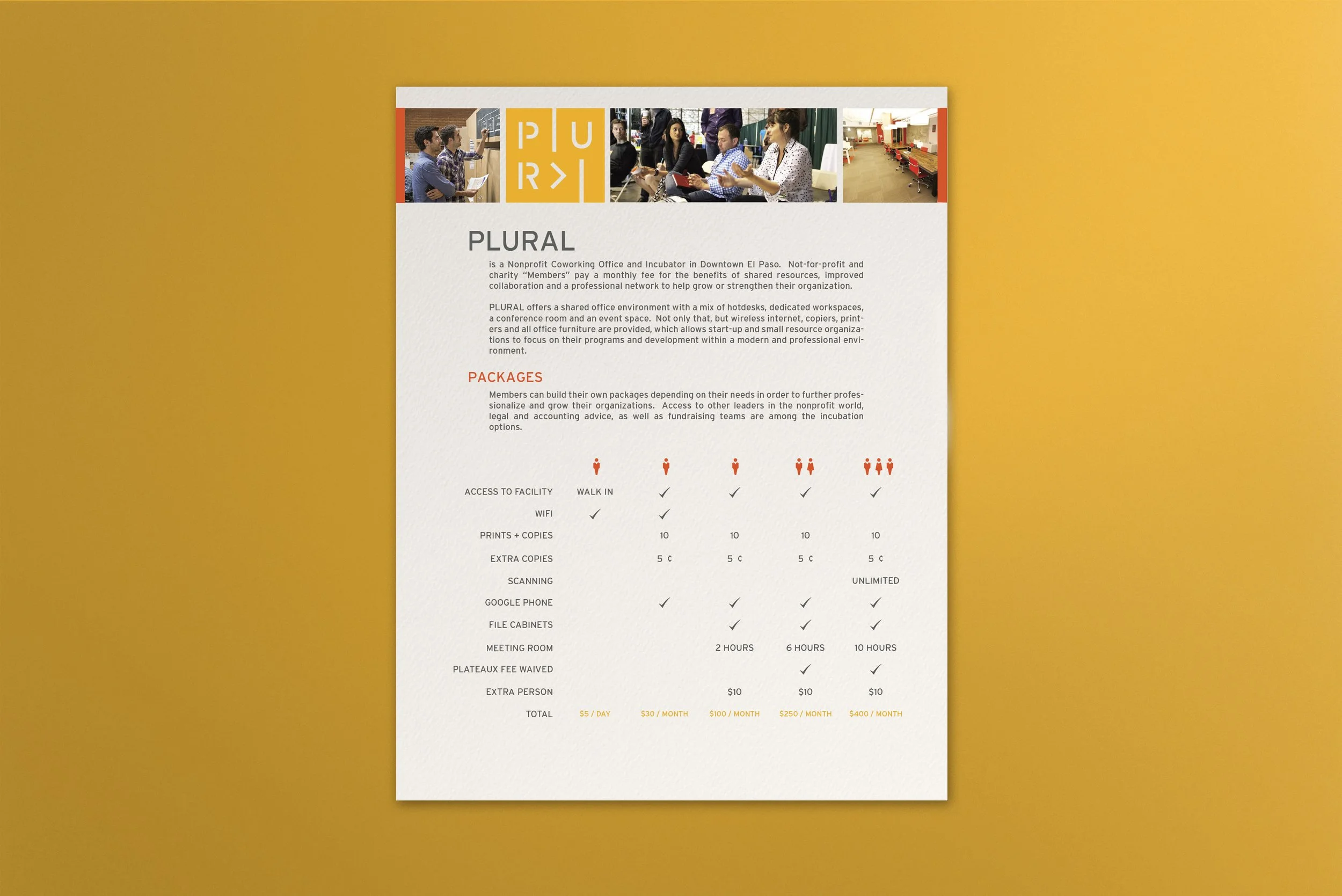 onesheet_color bg.jpg