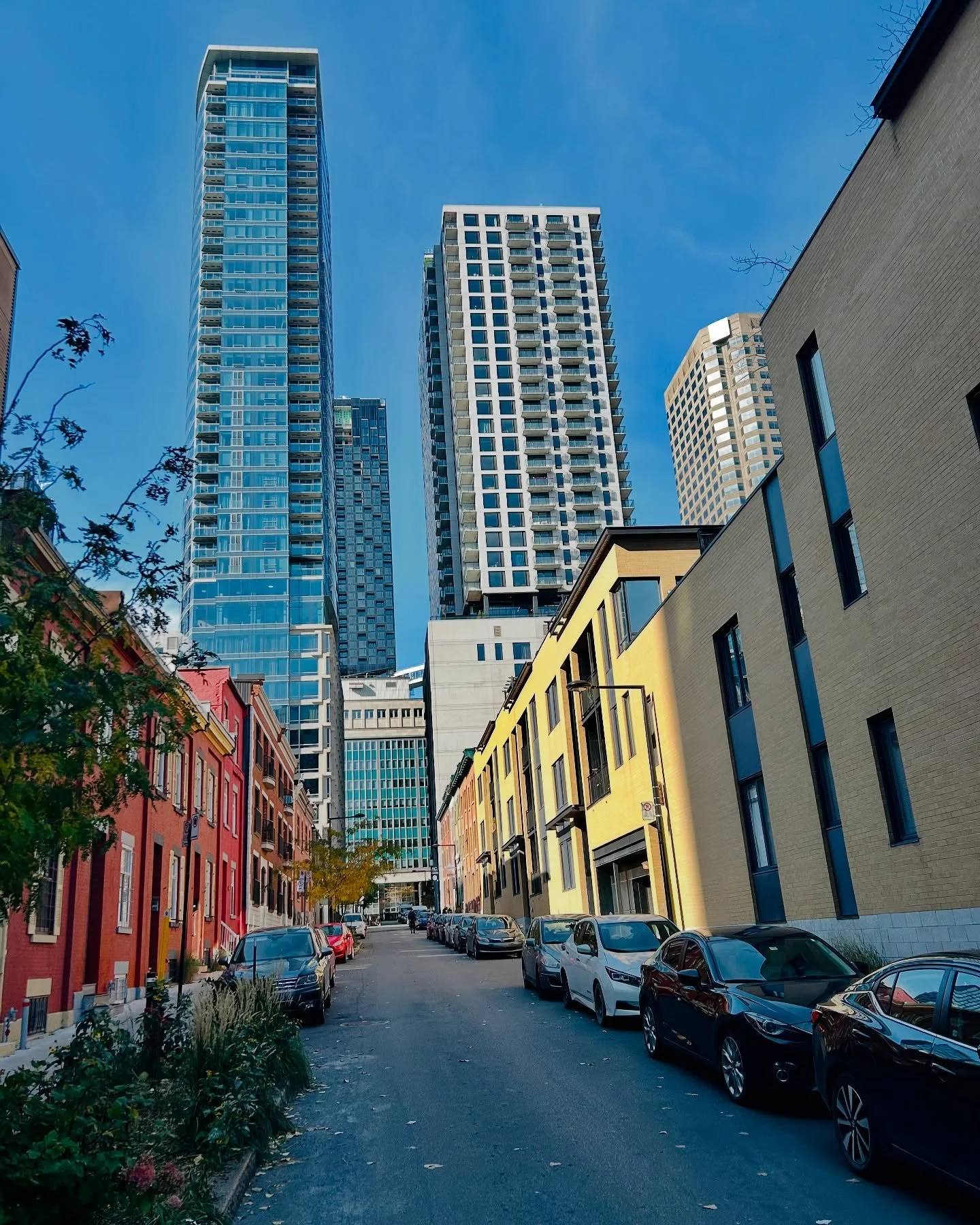 I ❤️ Montreal
#montreal #montréaljetaime #montréal #pictureoftheday #chinatown