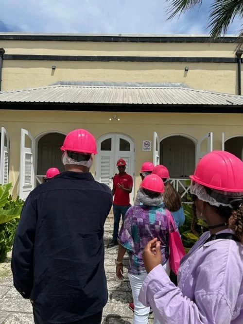 Visit Barbados And Check Out These Fun Activities