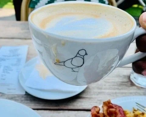 Pigeon Cafe Montreal