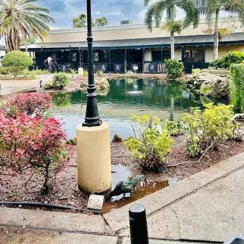 Tampa Bay Restaurants