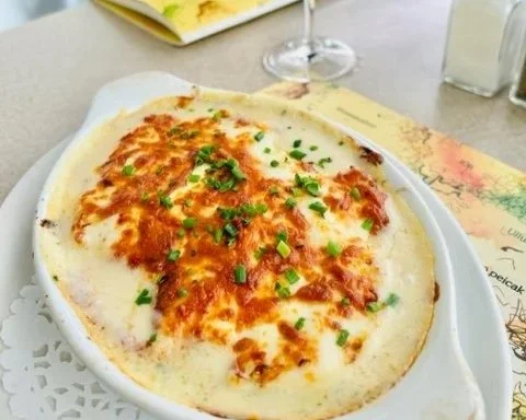 Jardin Nelson Old  Port Montreal