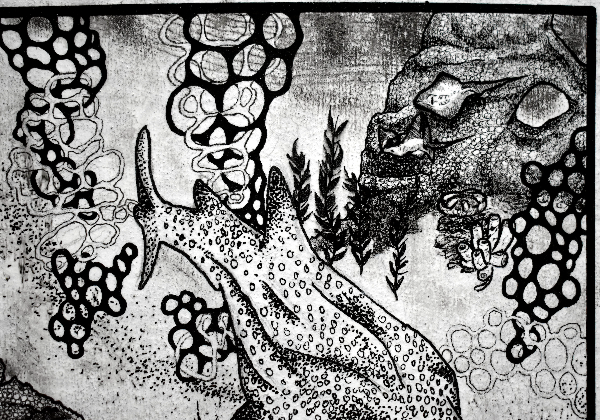 Screenshot 2023-08-26 at 12.56.17 PM.png