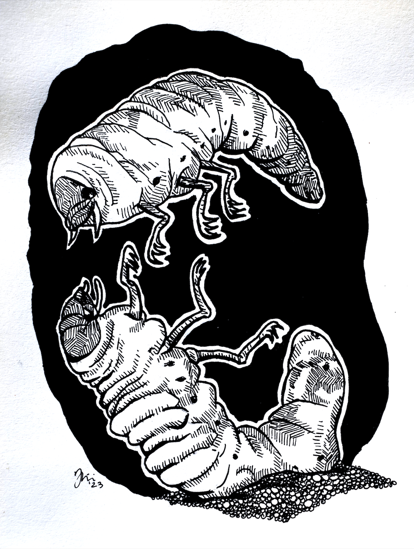 Screenshot 2023-10-10 at 5.48.03 PM.png