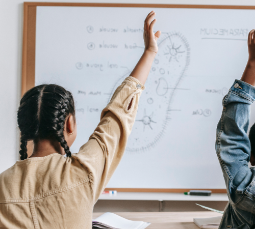 A young girl raising her hand in a classroom with a whiteboard behind her showing a diagram of a neuron and related notes.