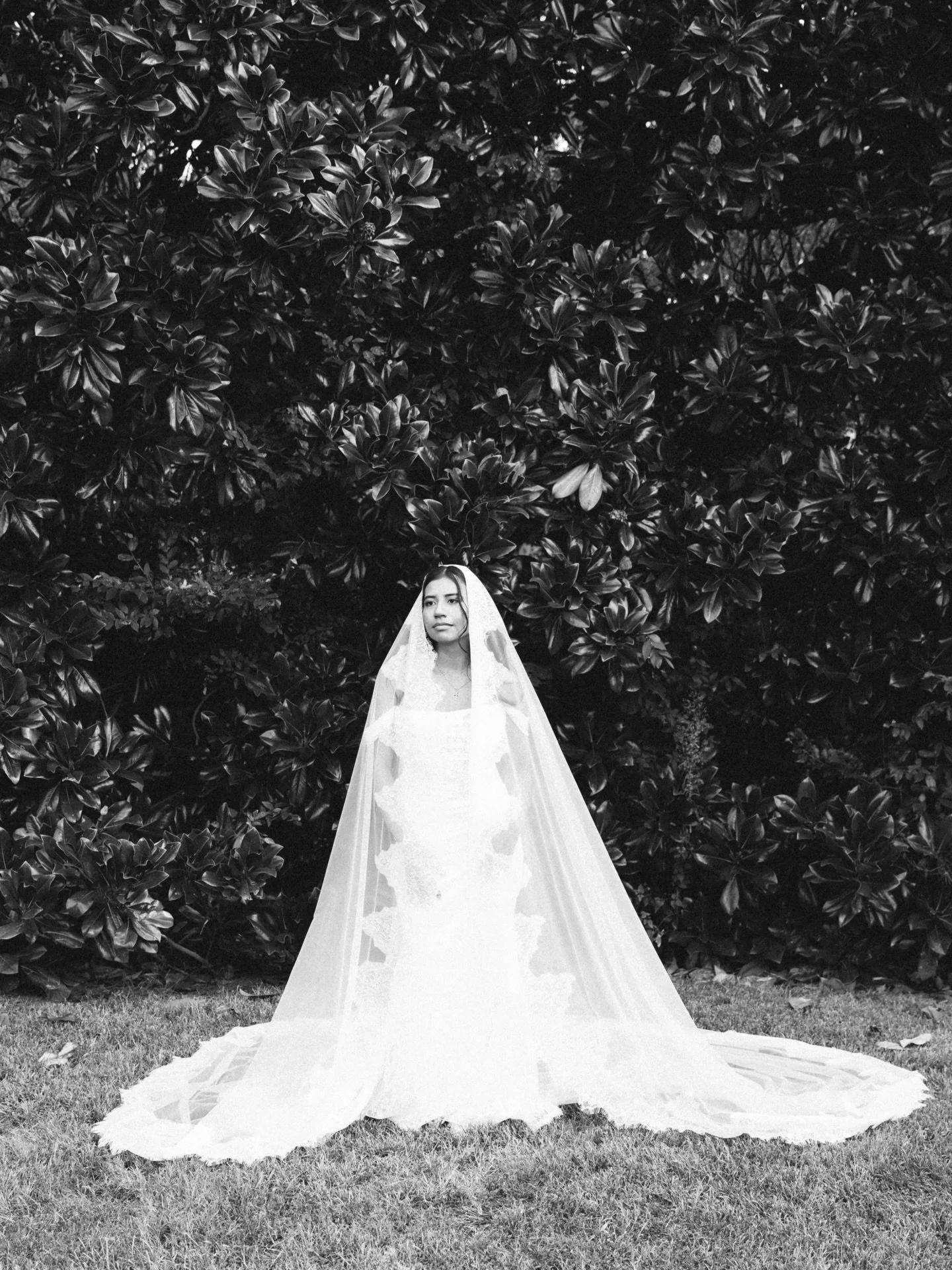 Finally finding some time to filter and share some images from this year&rsquo;s weddings! Excited to compile some beautiful carousels here soon 

Destination wedding &amp; elopement photographer
Фотограф Санкт Петербург свадьбы и лав стори 
Inquires