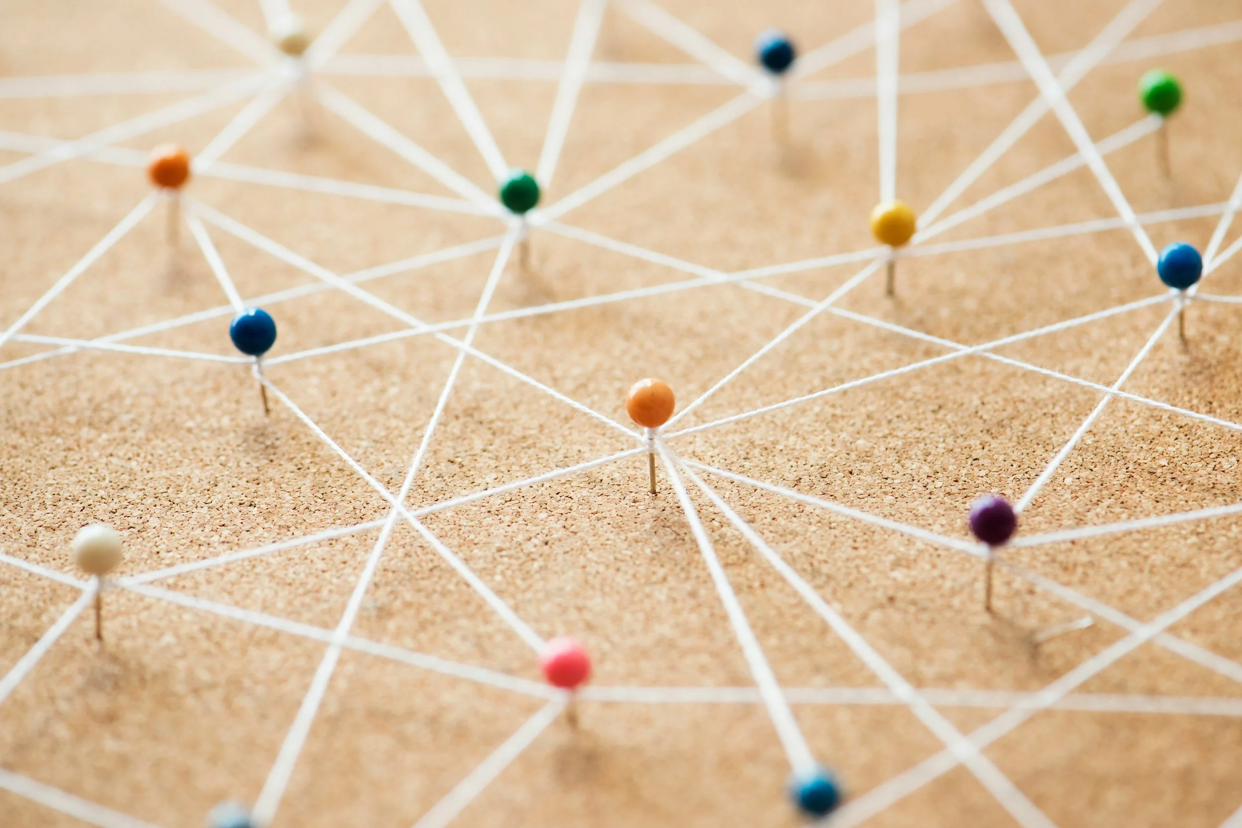 How to Build a Multi-Investigator Team Plan that Reviewers Actually Trust