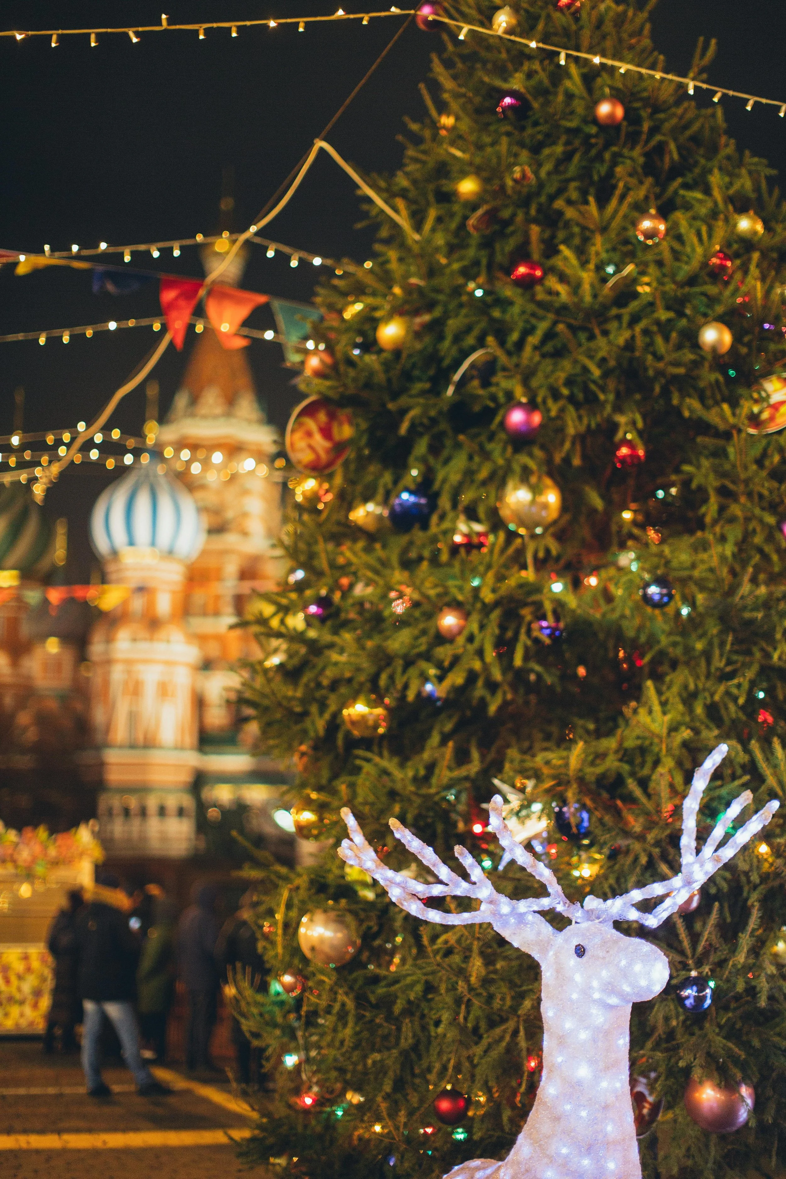 Christmas reindeer