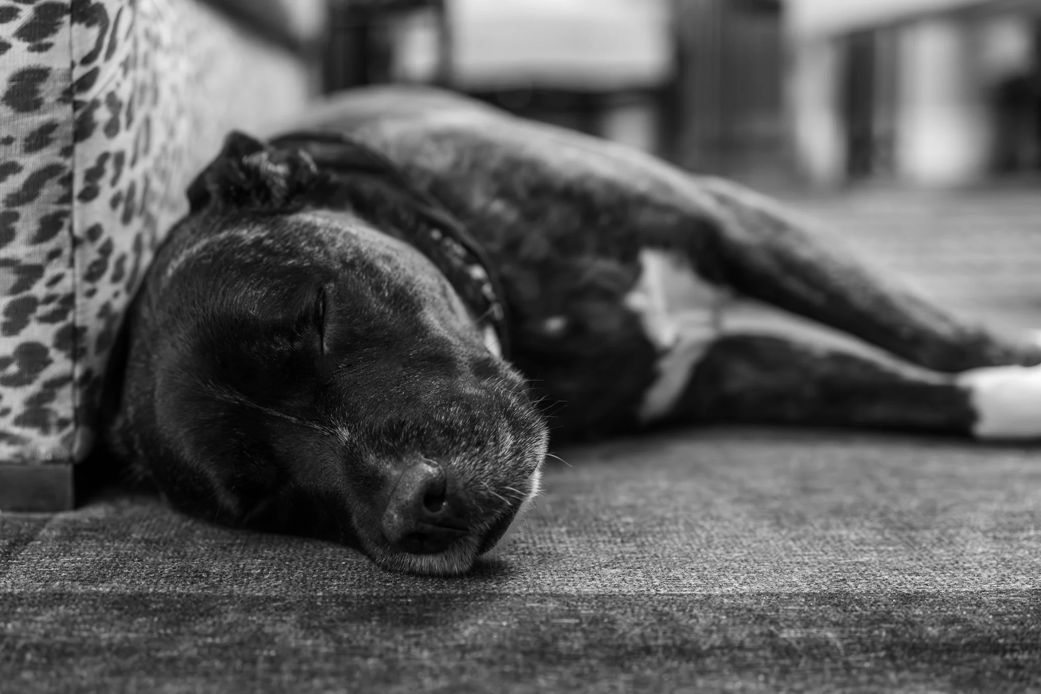 untitled (17 of 47)-Enhanced-NR-Edit.jpg