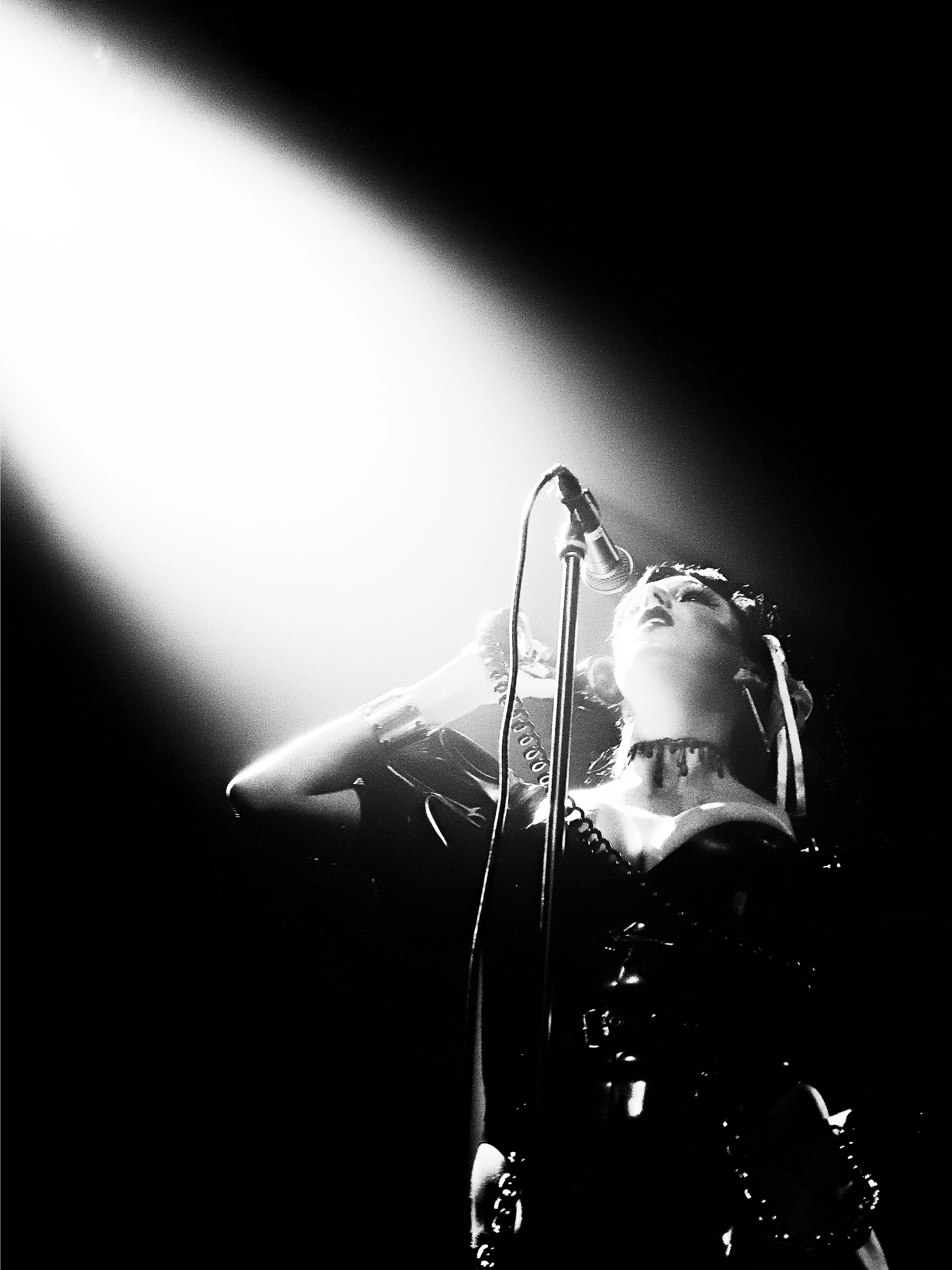 HEALTH X CARPENTER BRUT X DESIRE 6.jpg