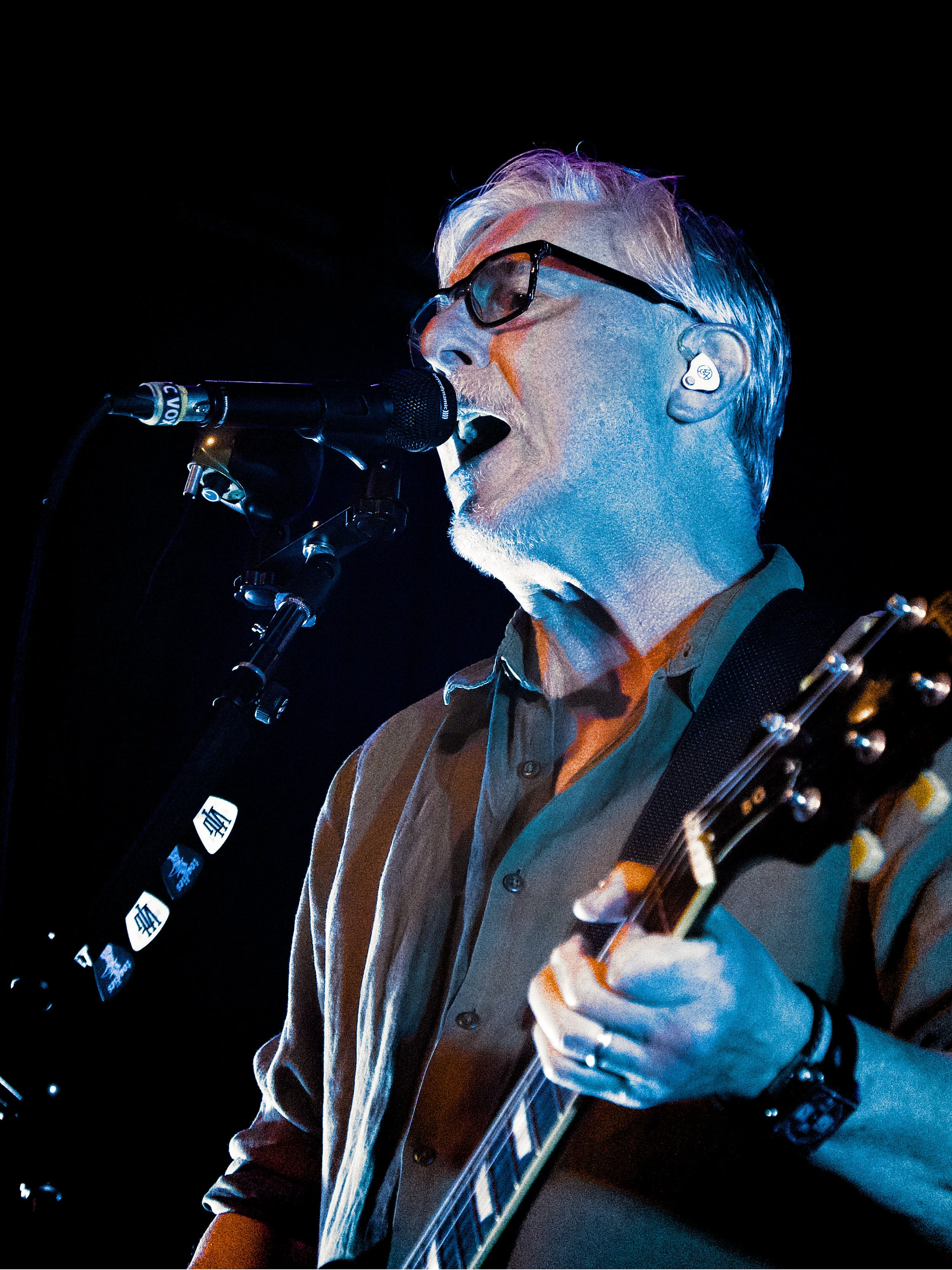 Toadies 8.jpg