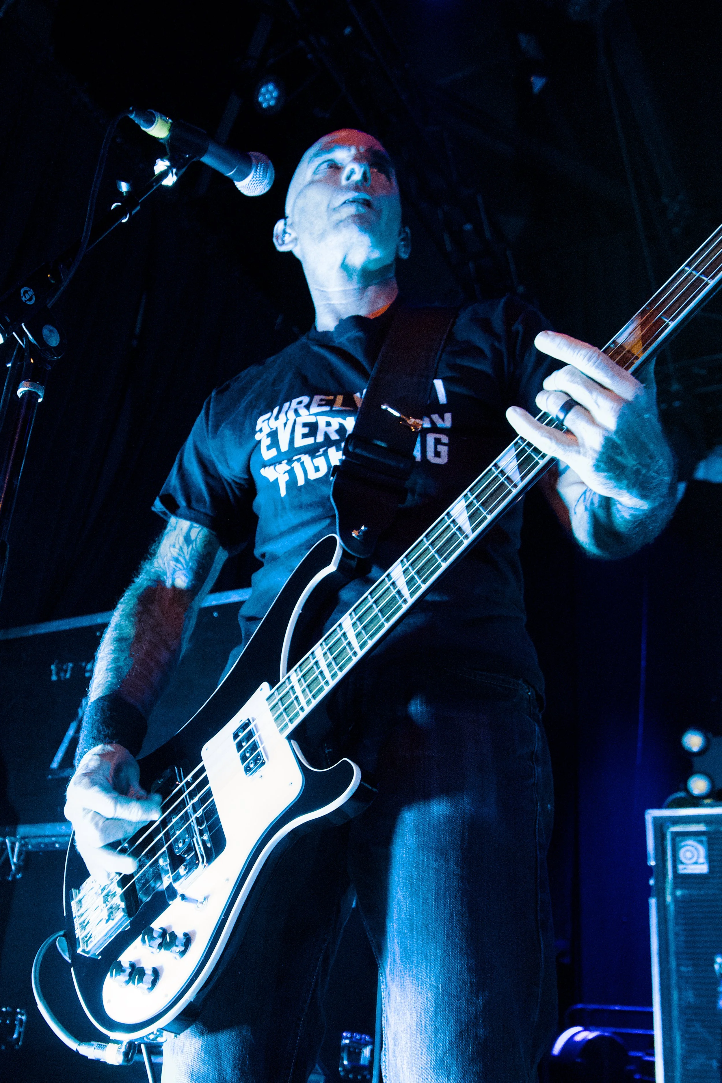 Toadies 11.jpg