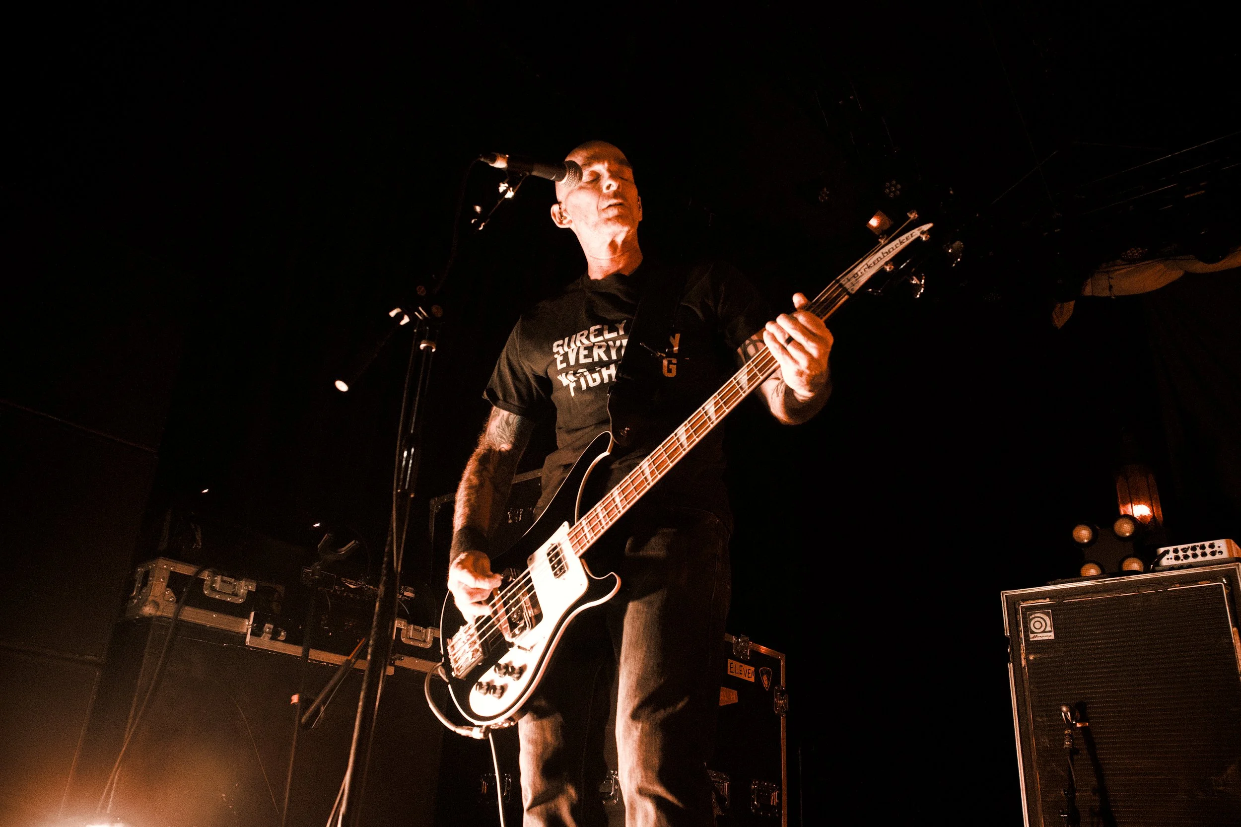 Toadies 2.jpg