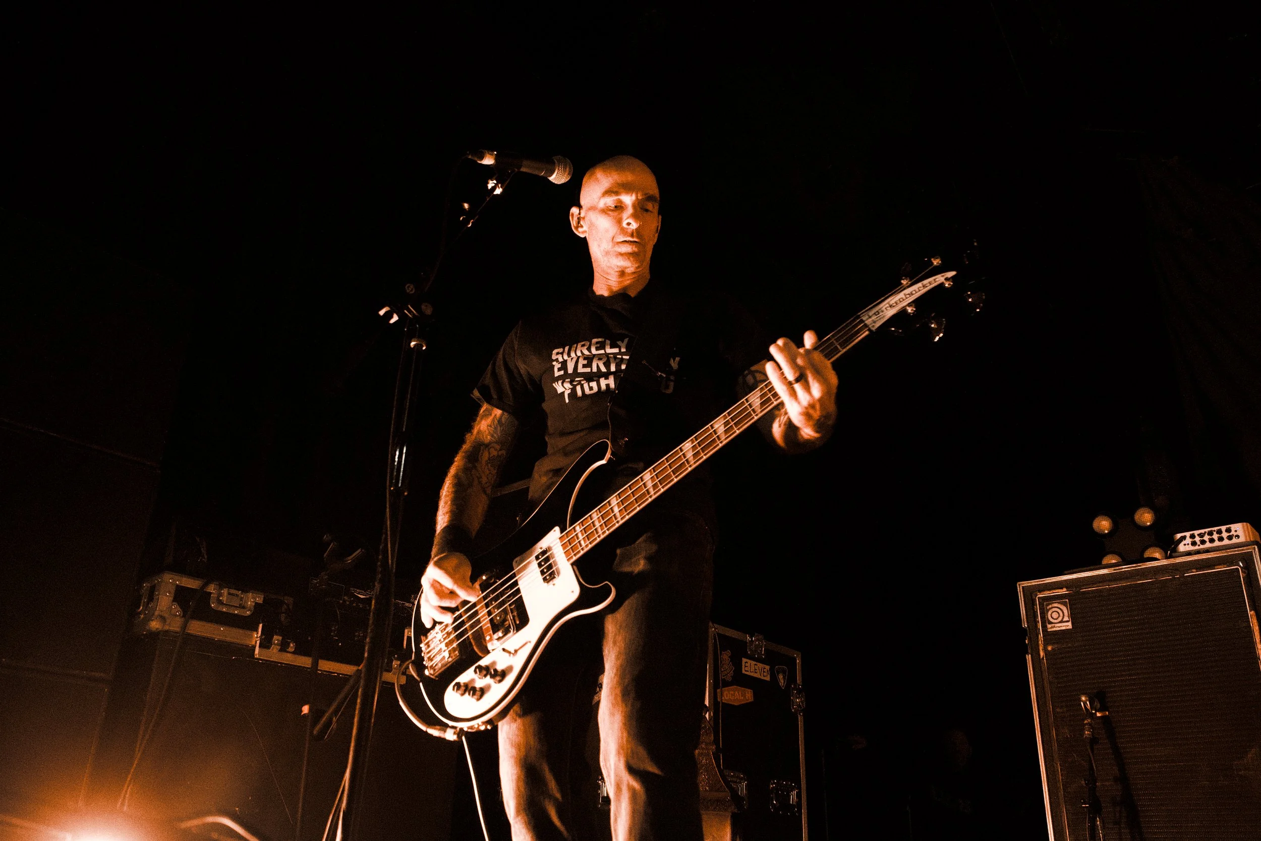 Toadies 3.jpg