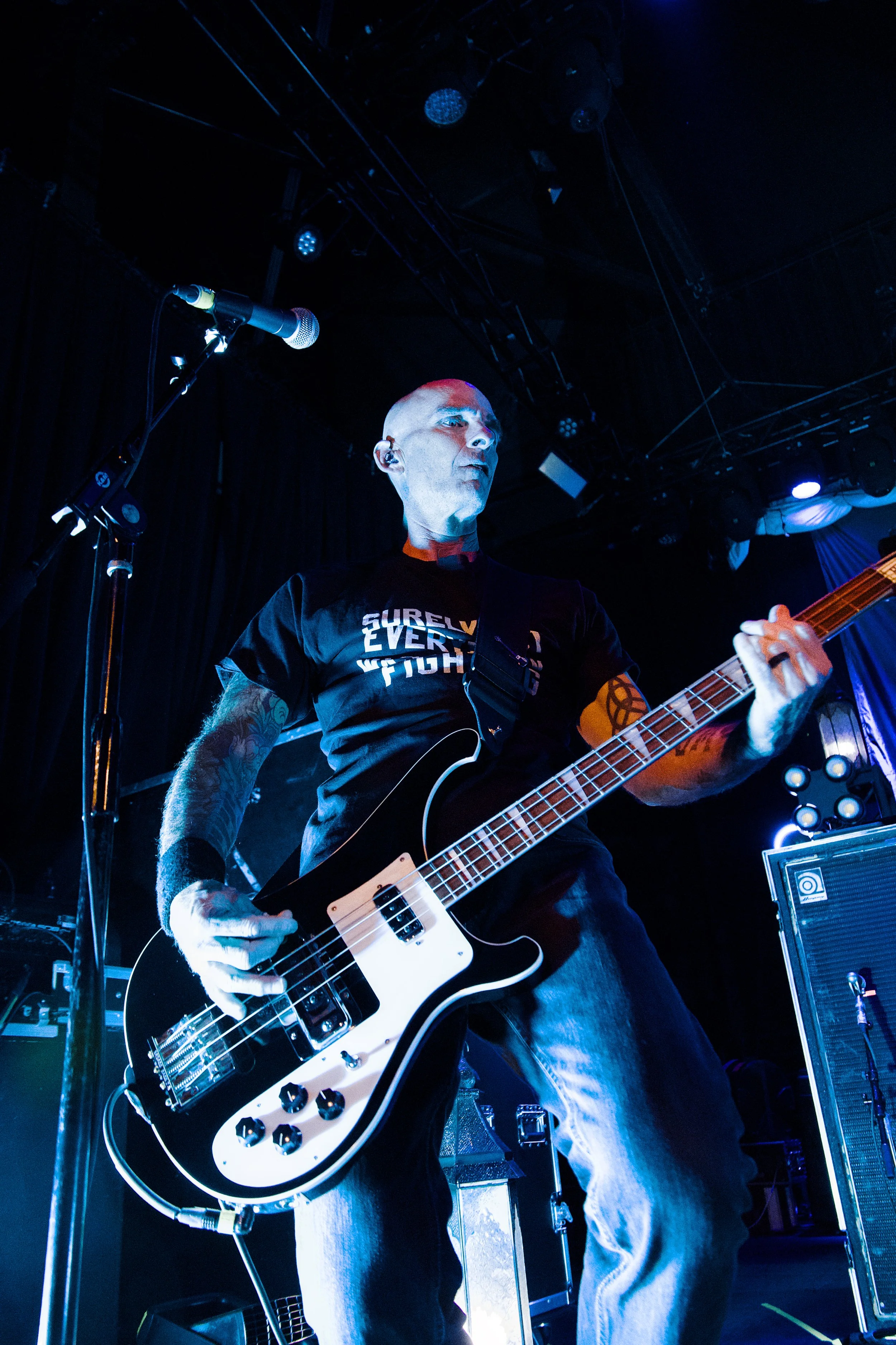Toadies 12.jpg