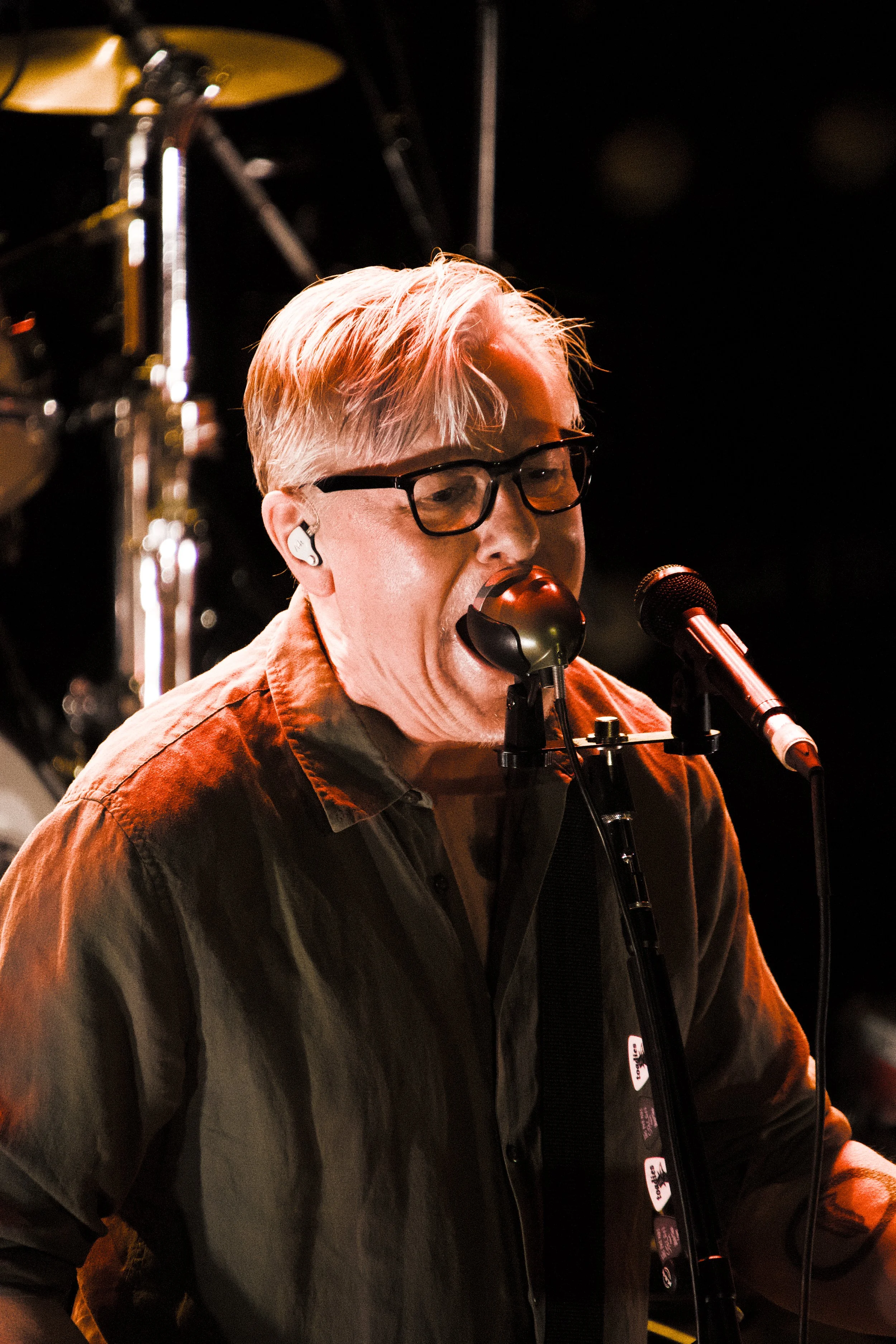 Toadies 34.jpg
