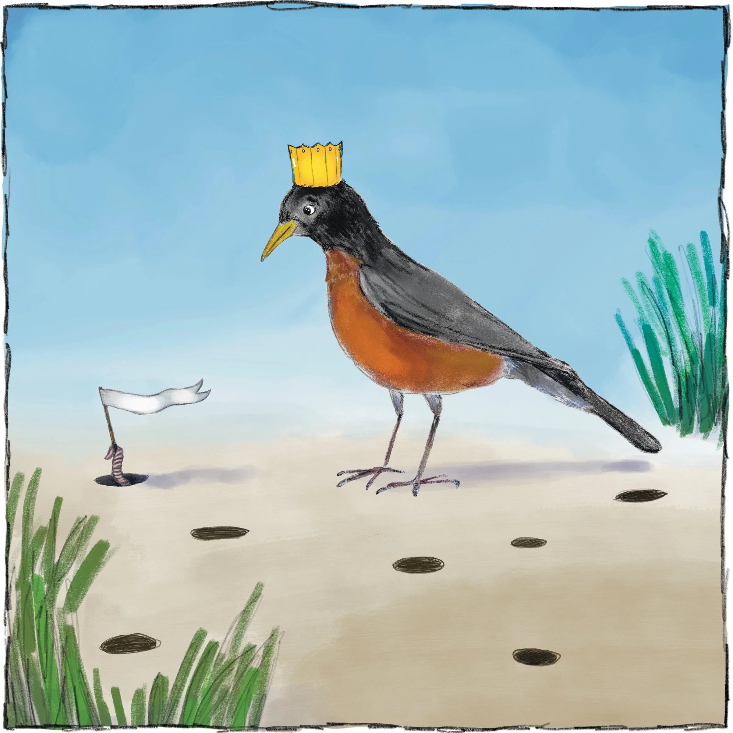 robin.jpg