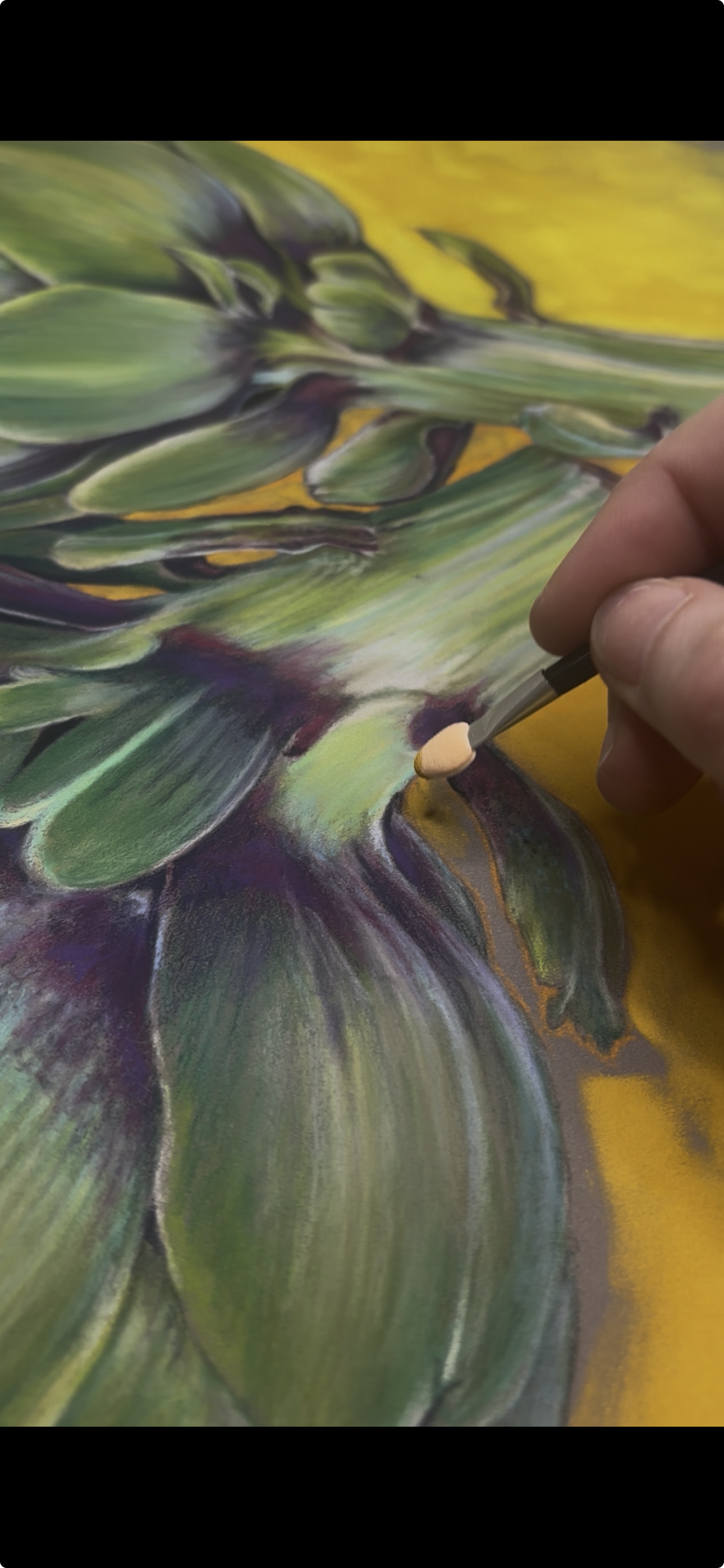 View recent photos.png