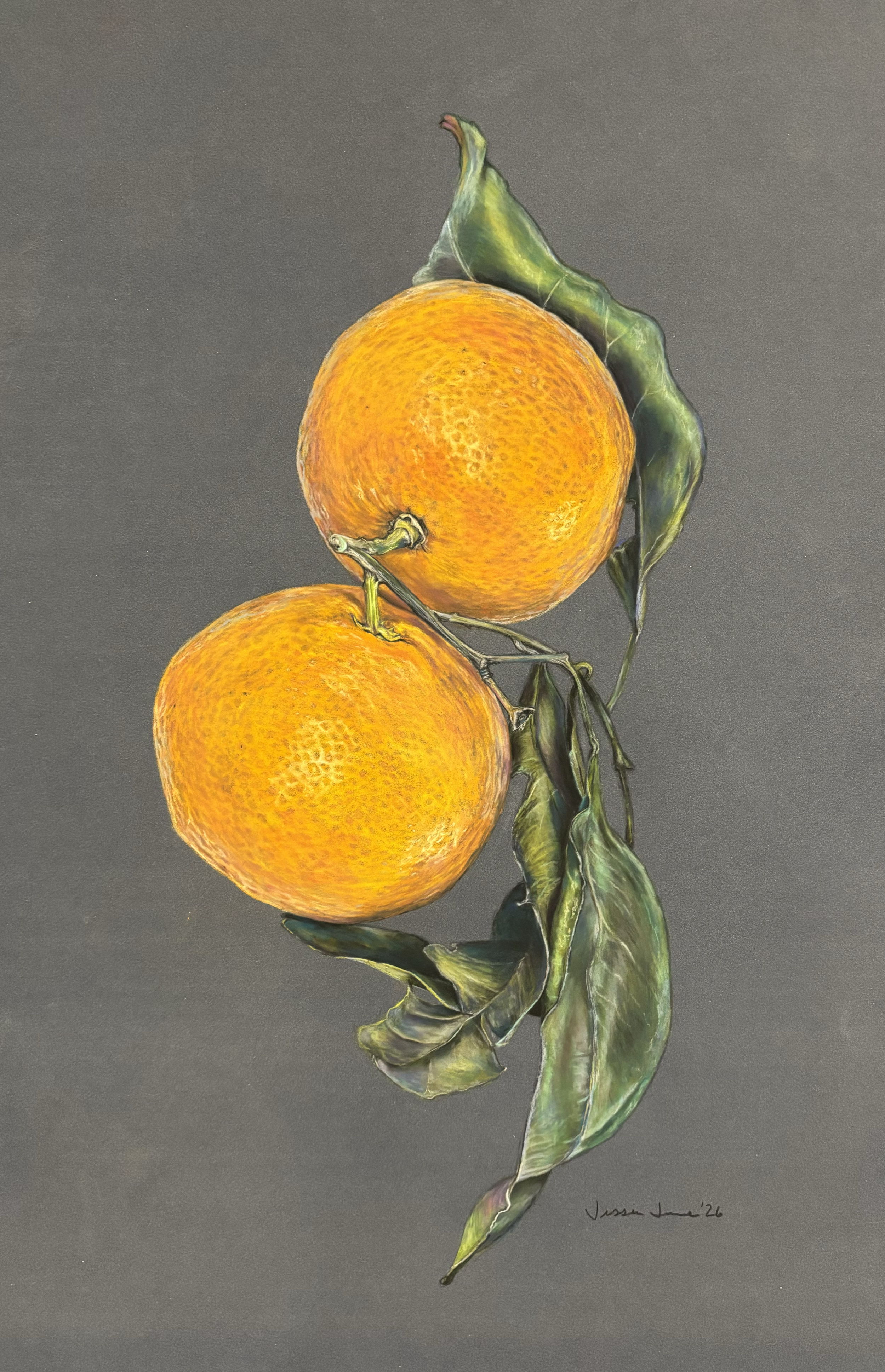 Emily's Oranges 