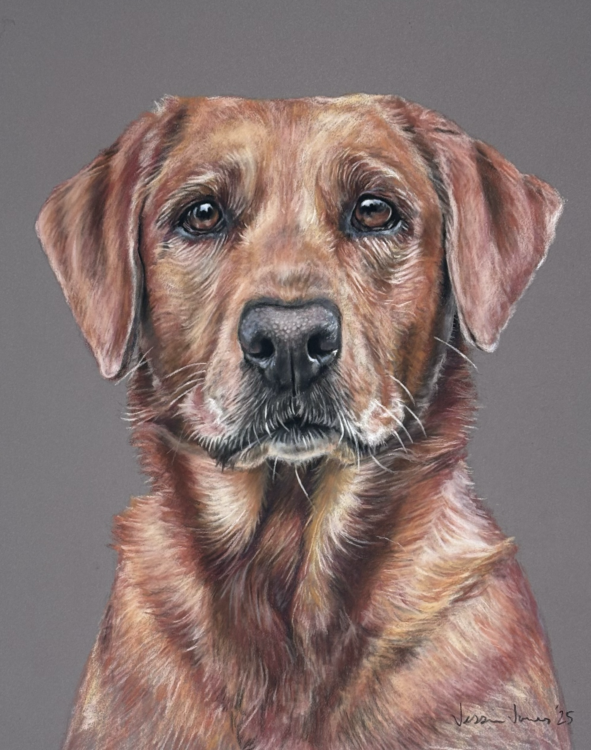 Dale, 11x14 chalk pastel