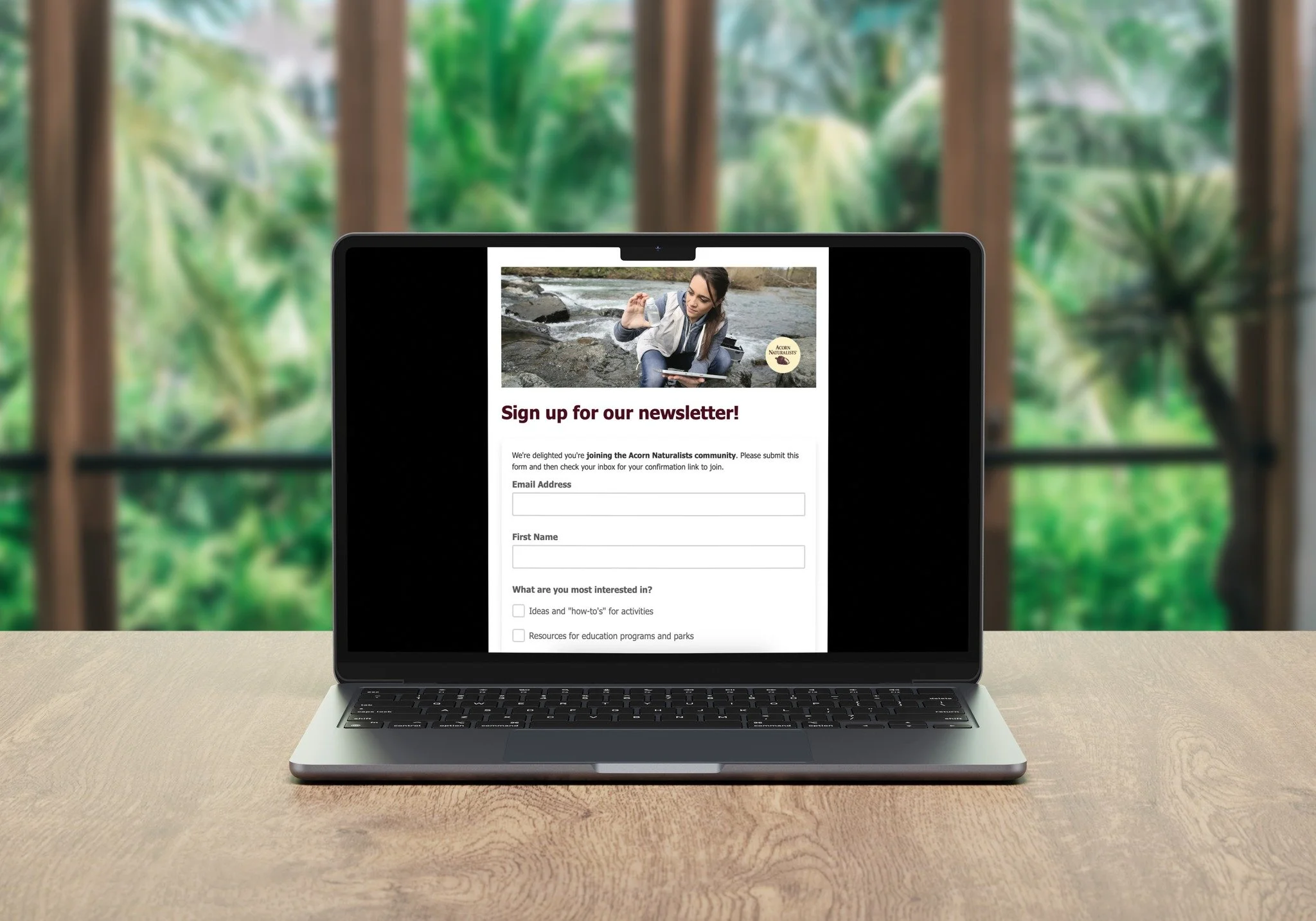 🌱 Neglecting your newsletter strategy? I've seen small teams and nonprofits struggle to prioritize email marketing, despite its potential to drive revenue. For any brand that sells directly to consumers, email marketing still delivers the best ROI. 